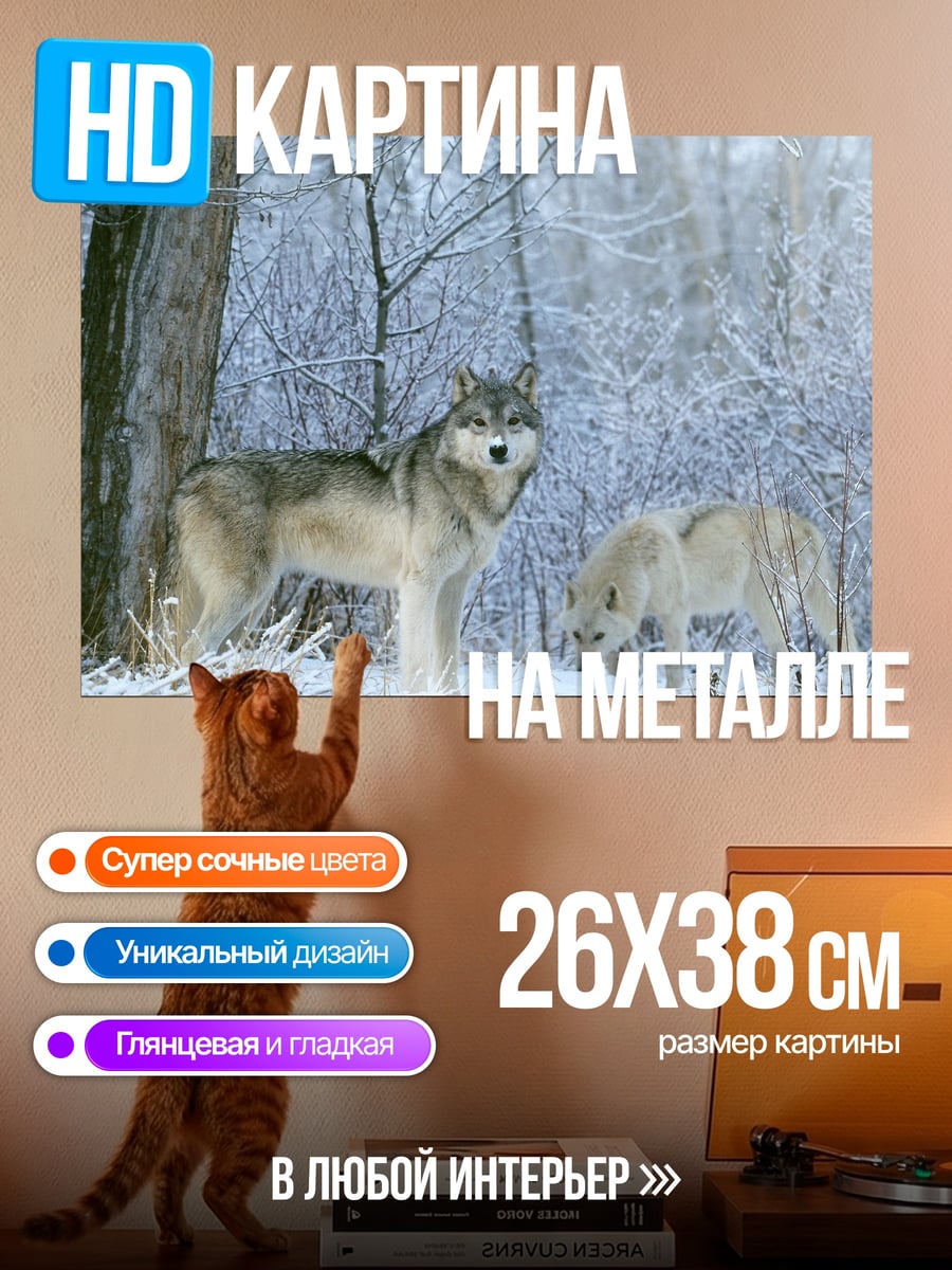 Картина на металле волки в снегу