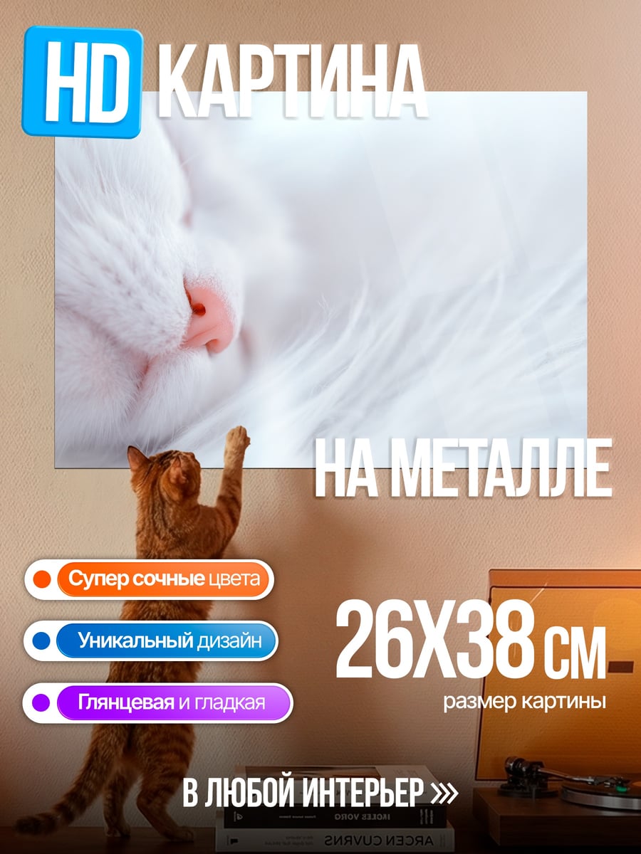 Картина на металле Спящий белый кот