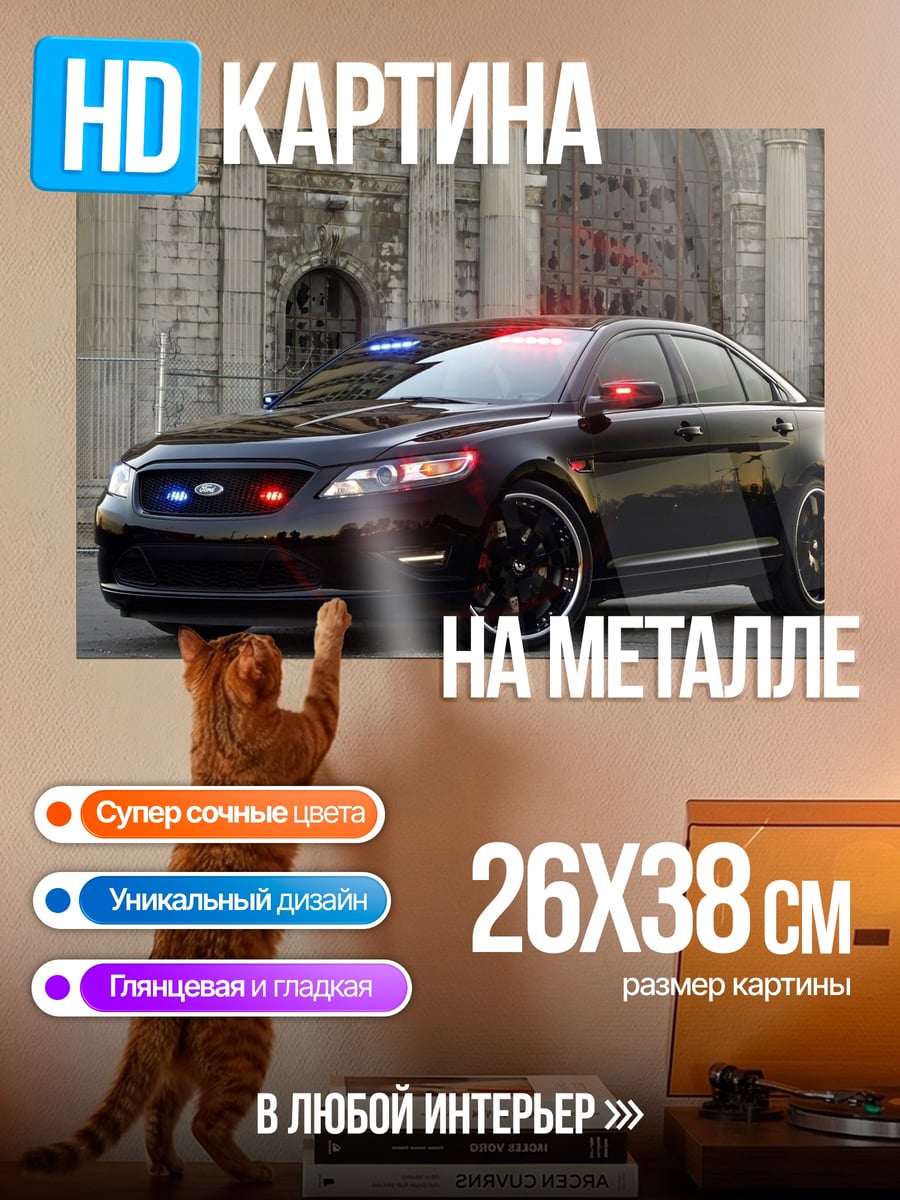 Картина на металле Полицейская машина