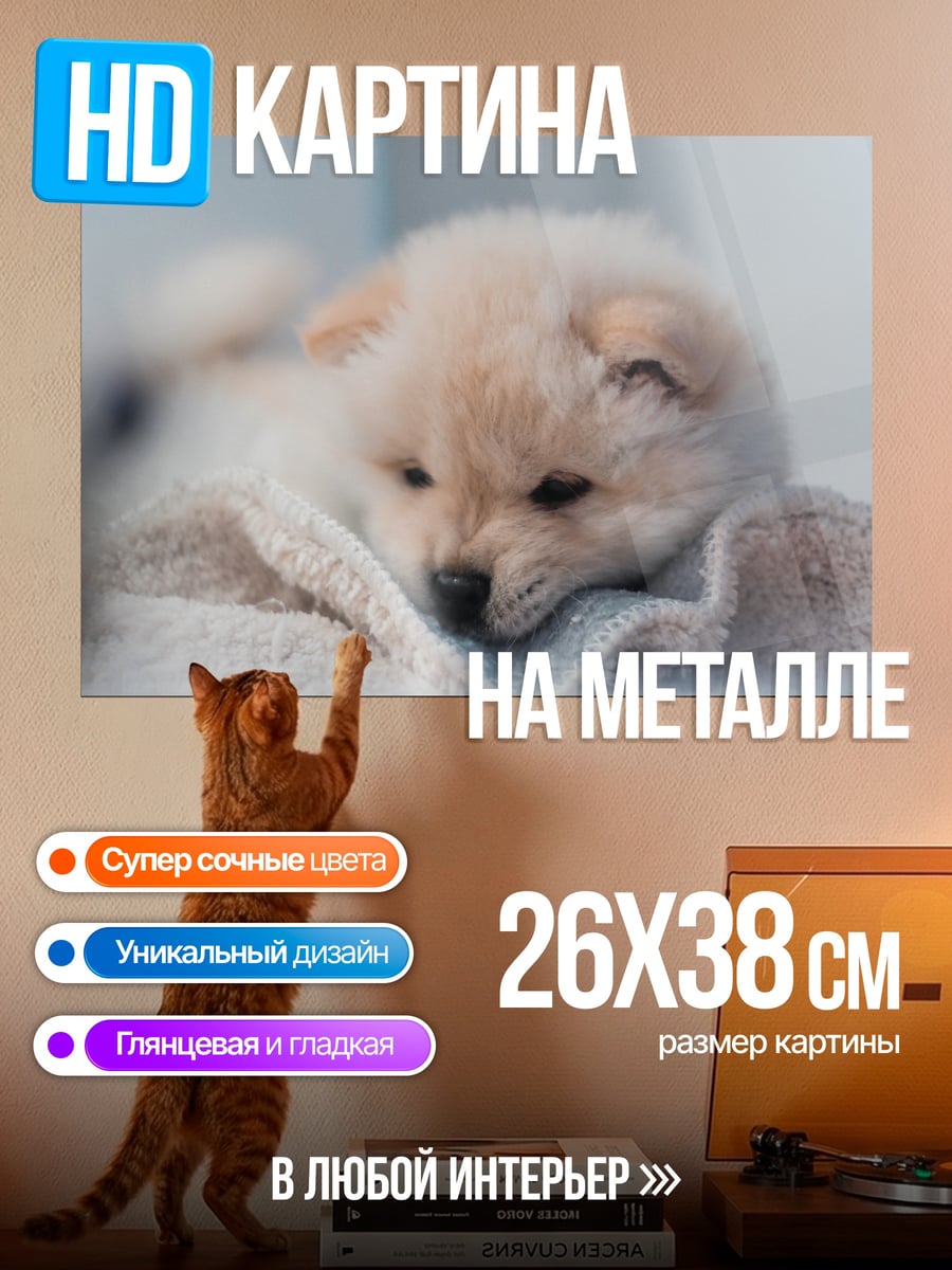 Картина на металле Пушистый щенок