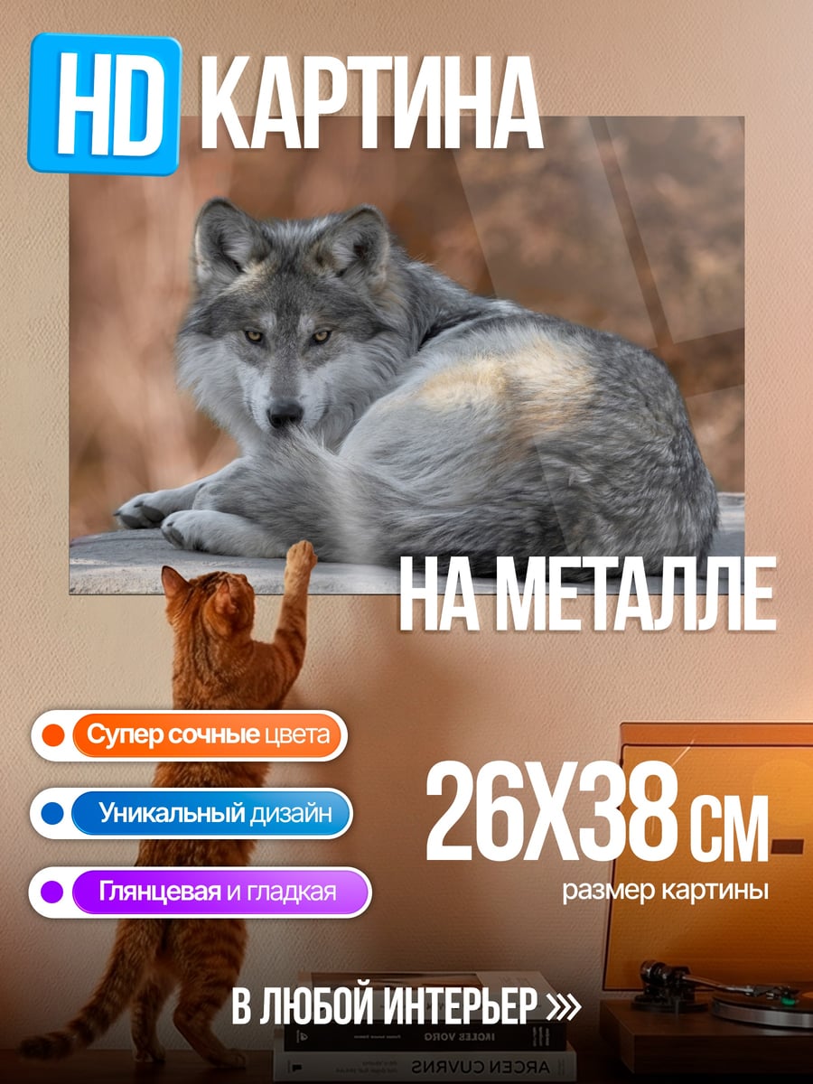 Картина на металле Лежащий волк