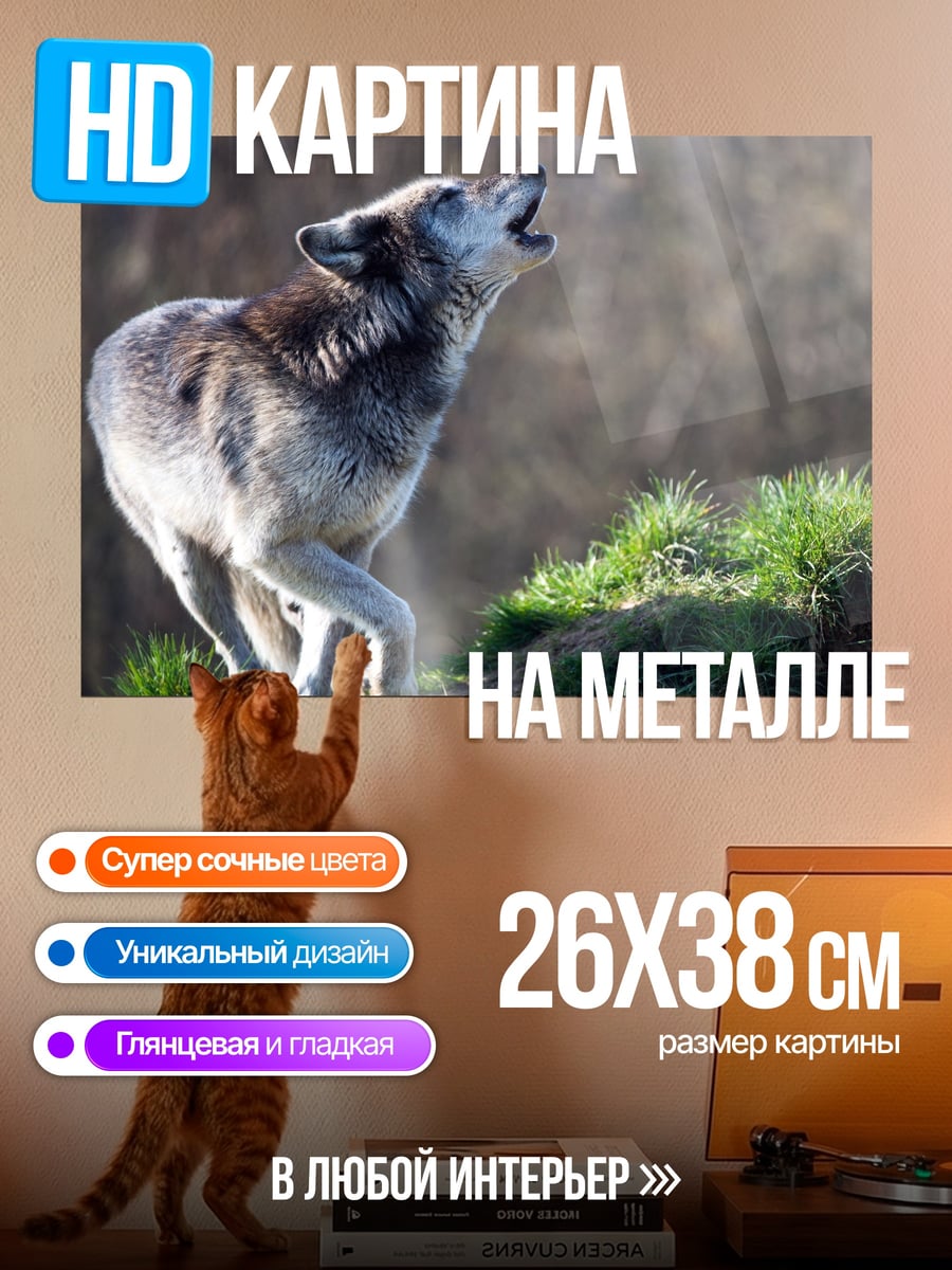 Картина на металле Воющий волк