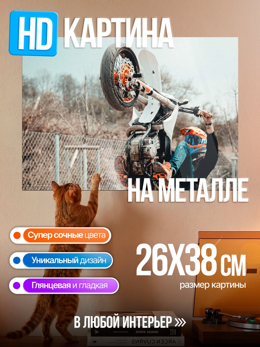 Картина на металле мотоциклист на заднем колесе