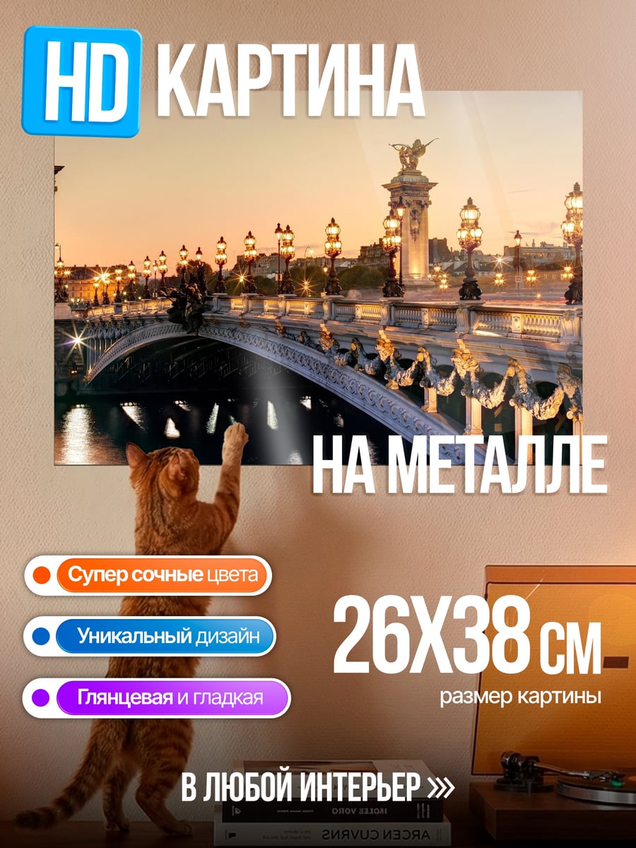 Картина на металле Парижский мост закат