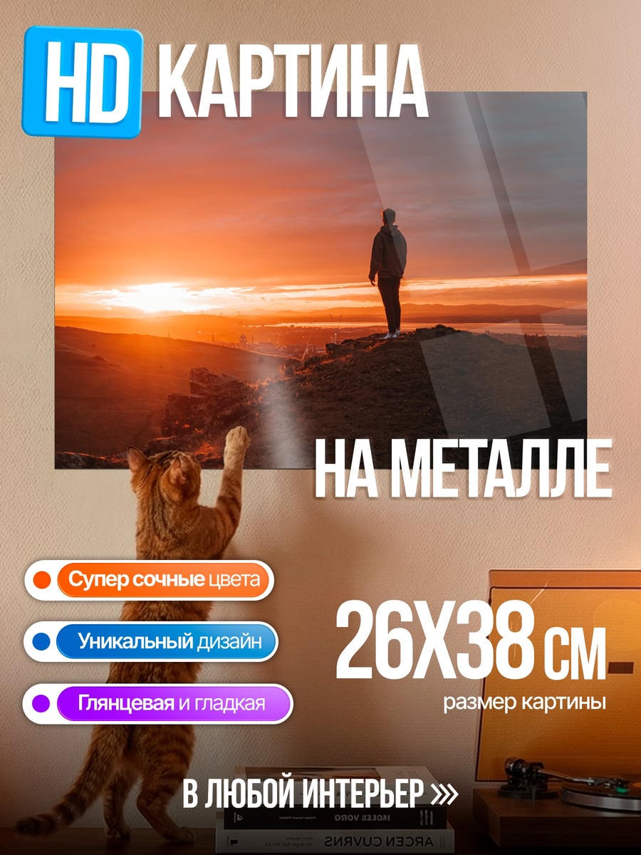 Картина на металле Человек на закате
