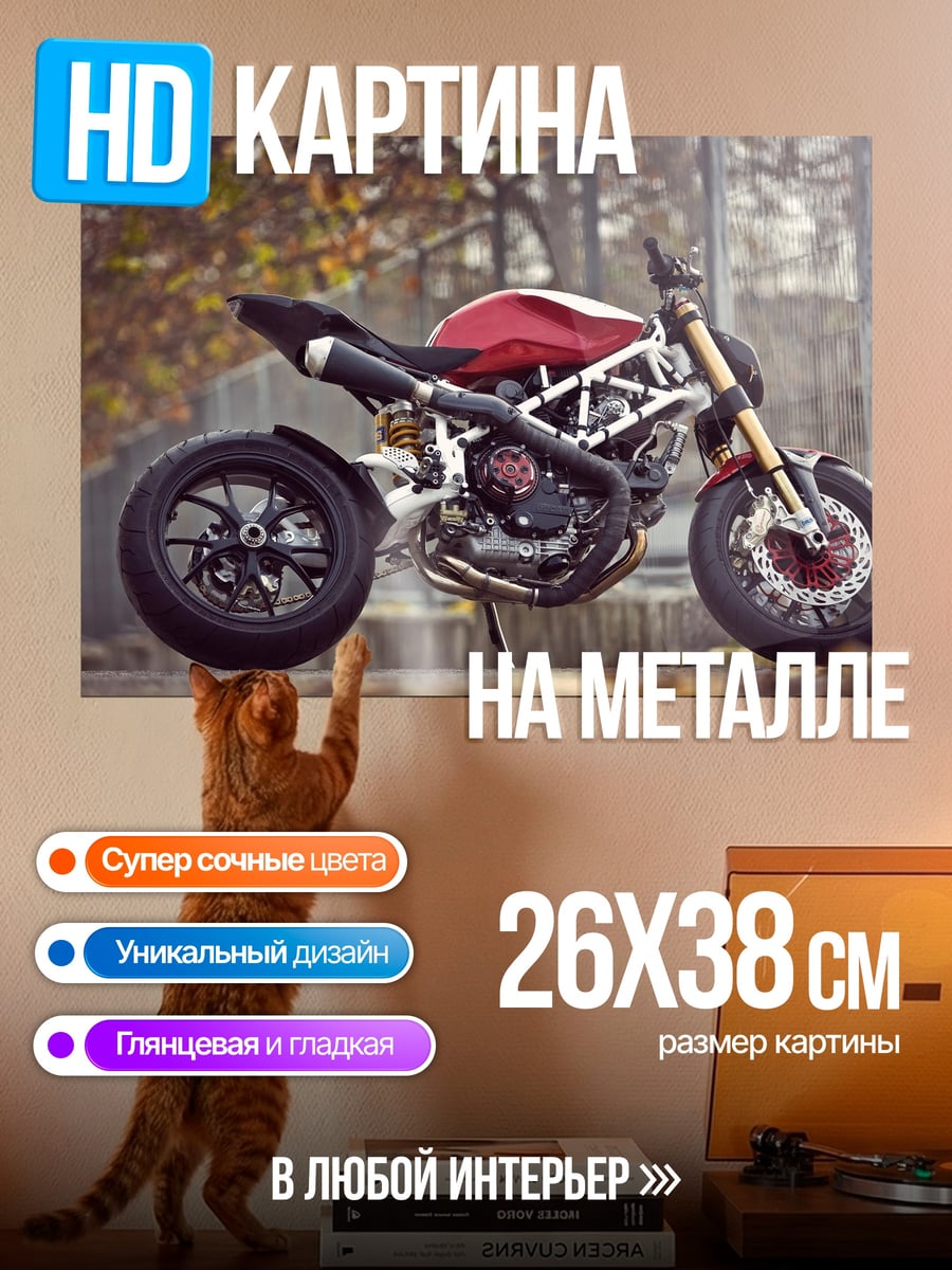Картина на металле Красный мотоцикл