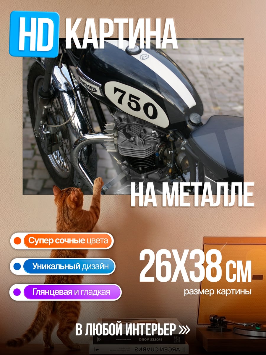 Картина на металле классический мотоцикл 750