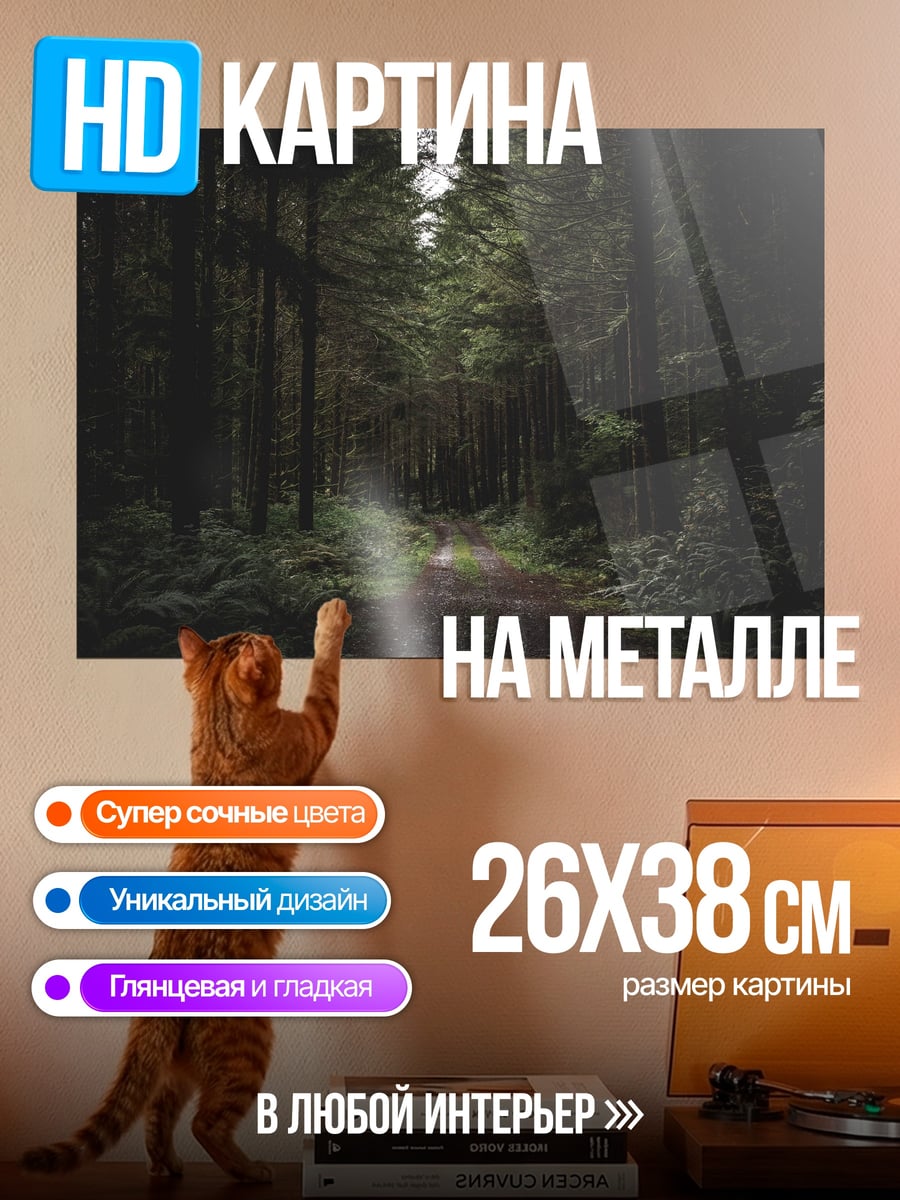 Картина на металле темный сосновый лес