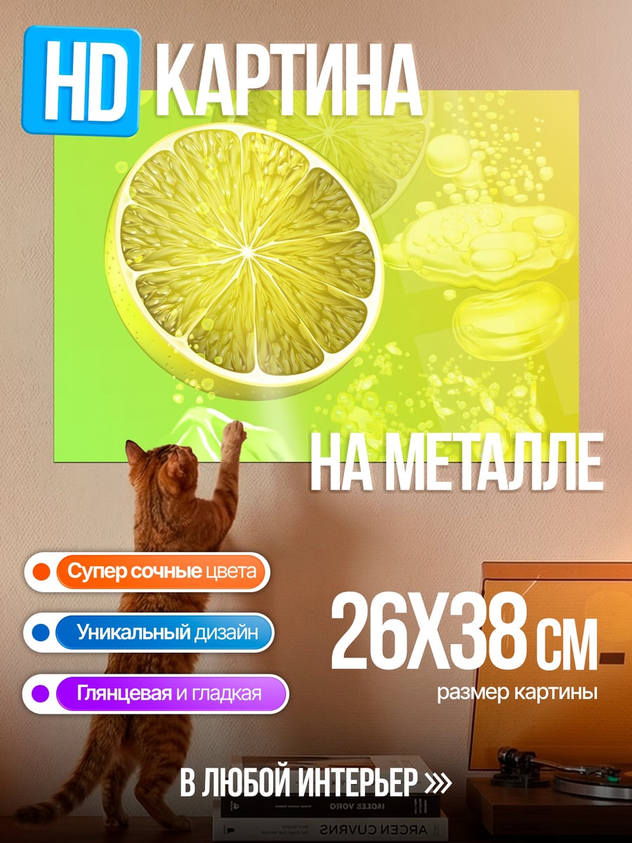Картина на металле цитрусовый напиток