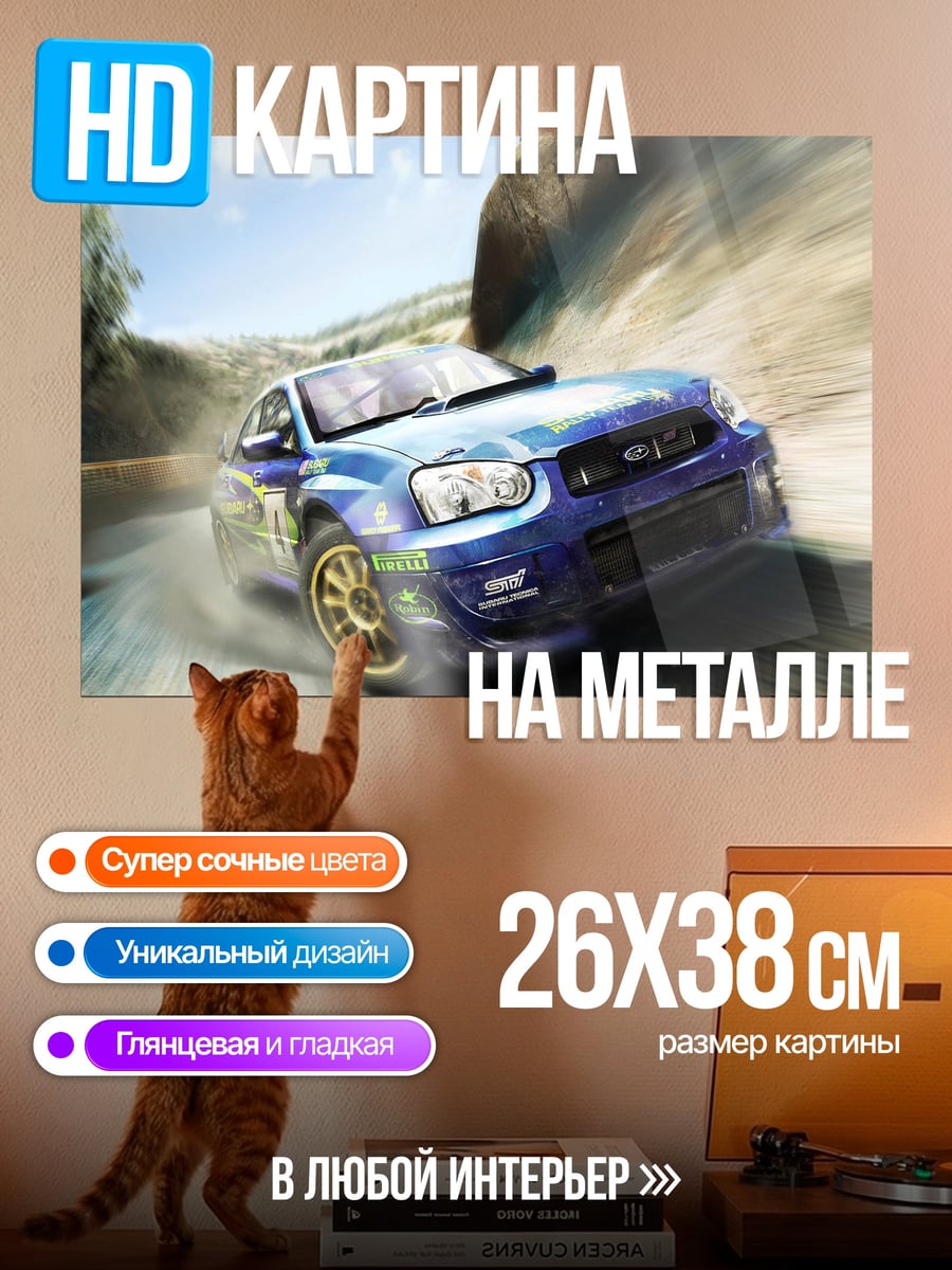 Картина на металле раллийная машина