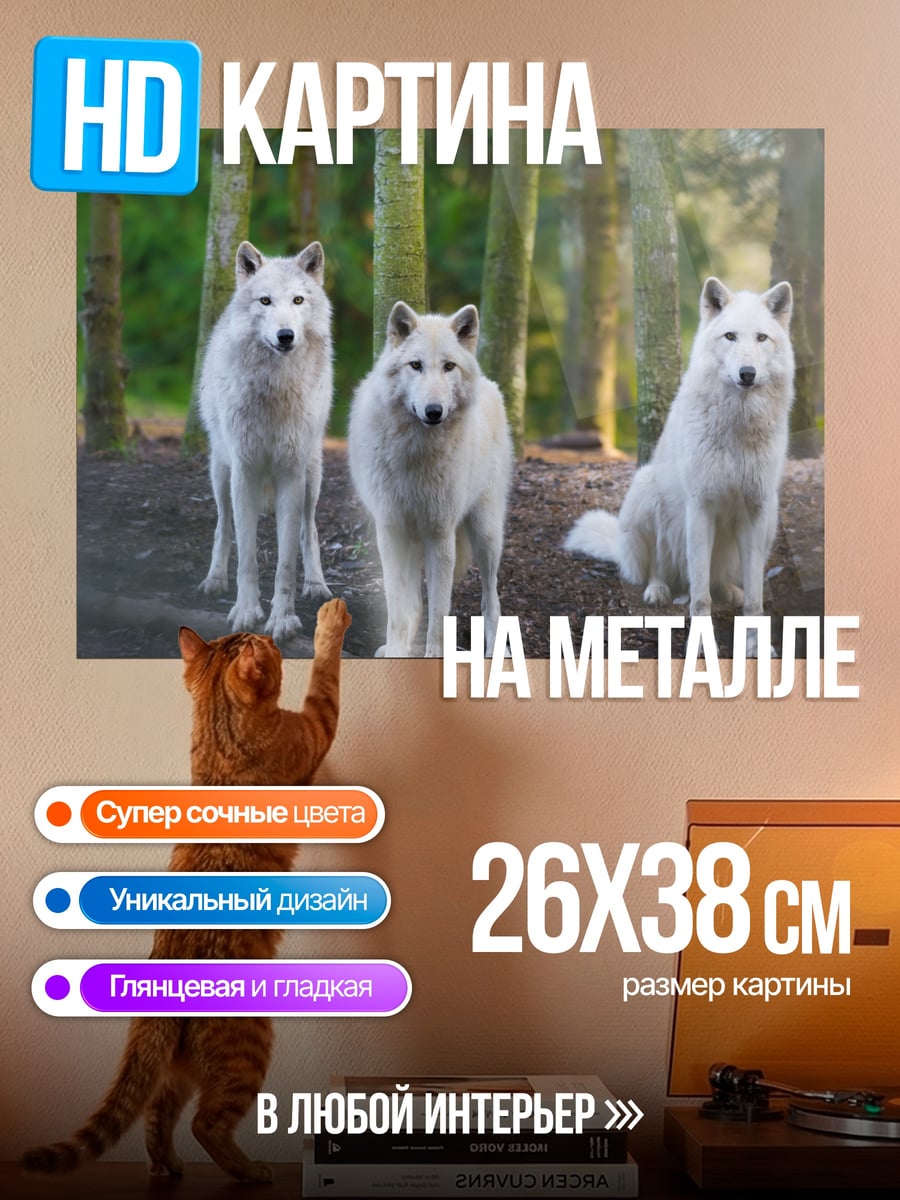 Картина на металле три белых волка