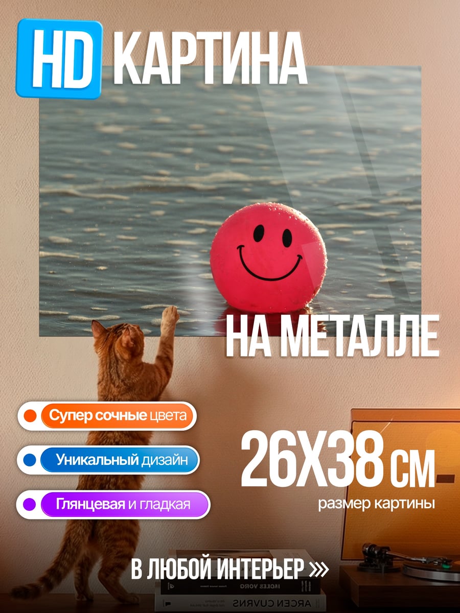 Картина на металле Смайлик на воде