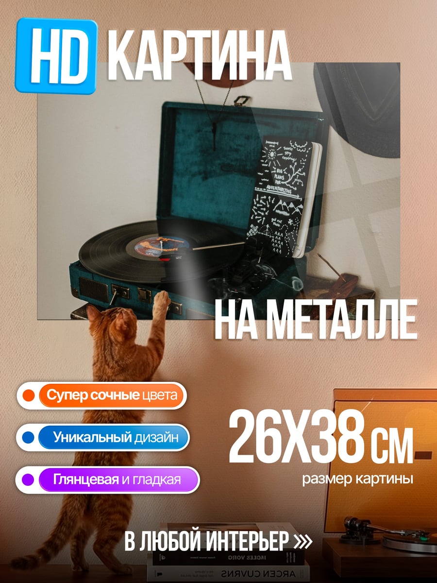 Картина на металле Виниловый проигрыватель