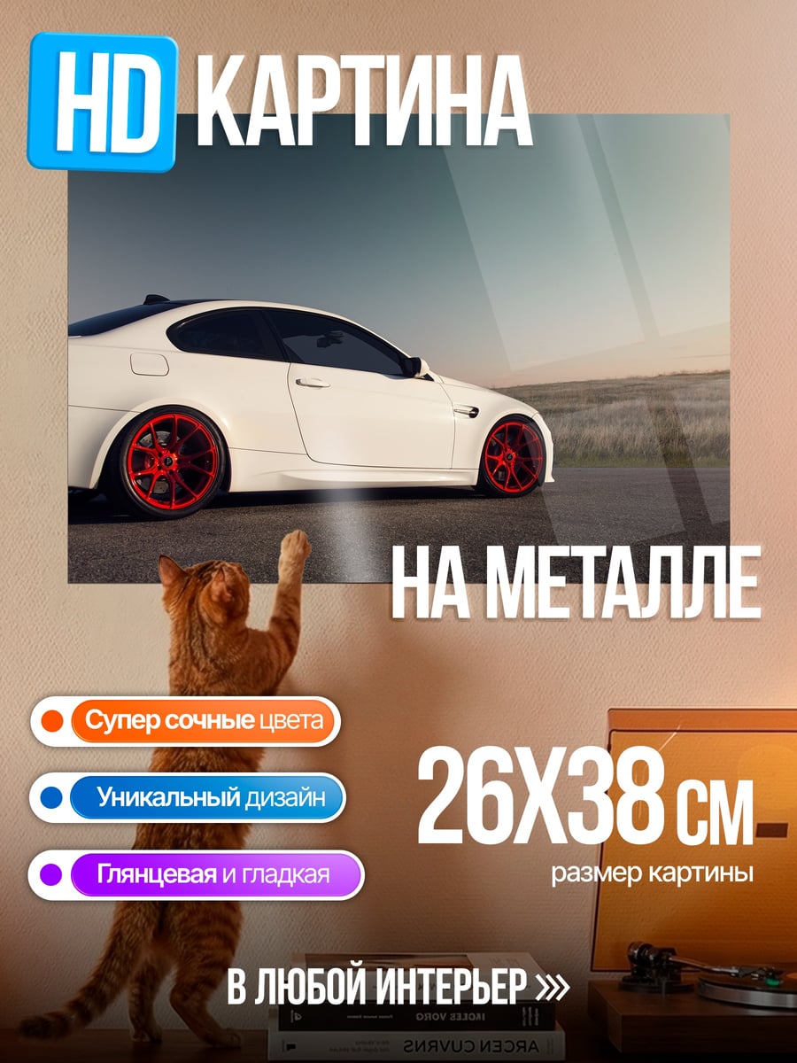 Картина на металле Белое купе