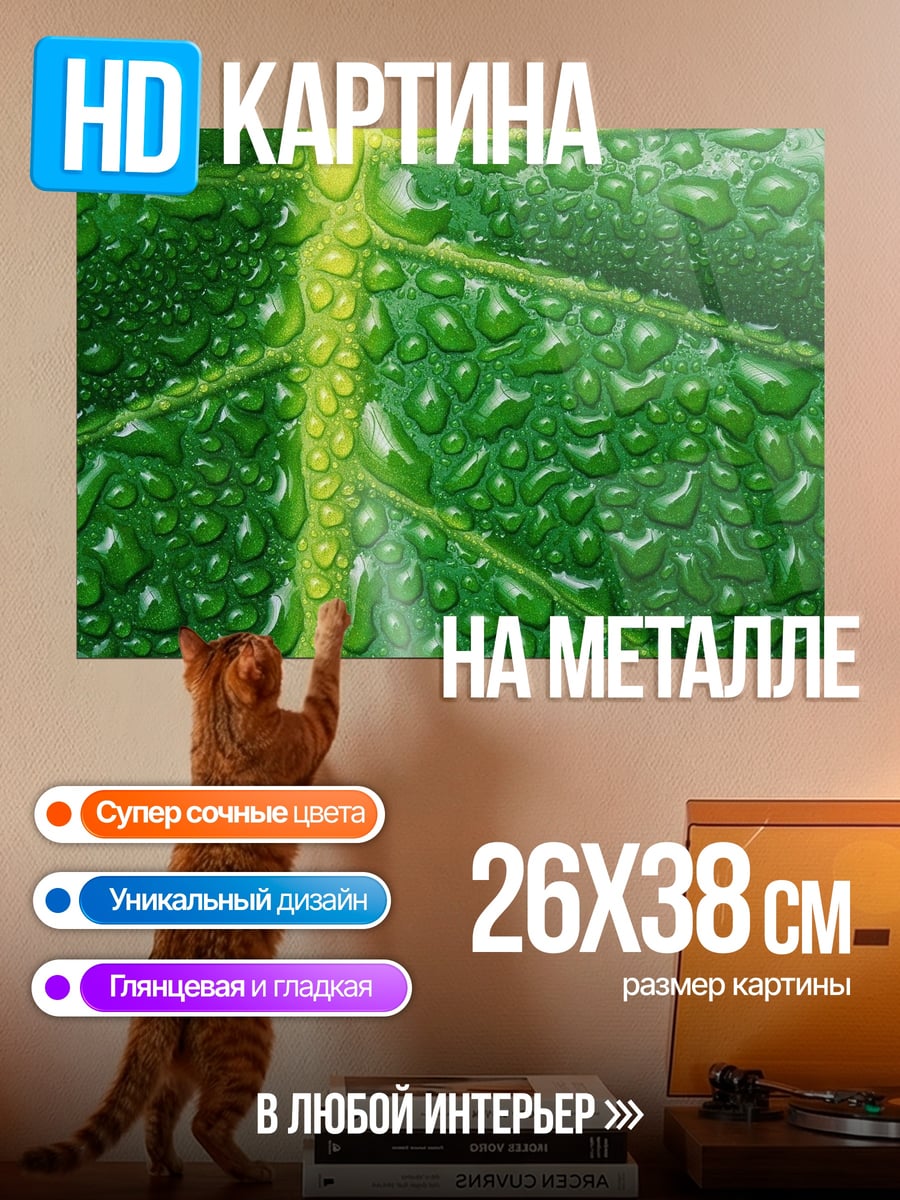 Картина на металле Капли на листе