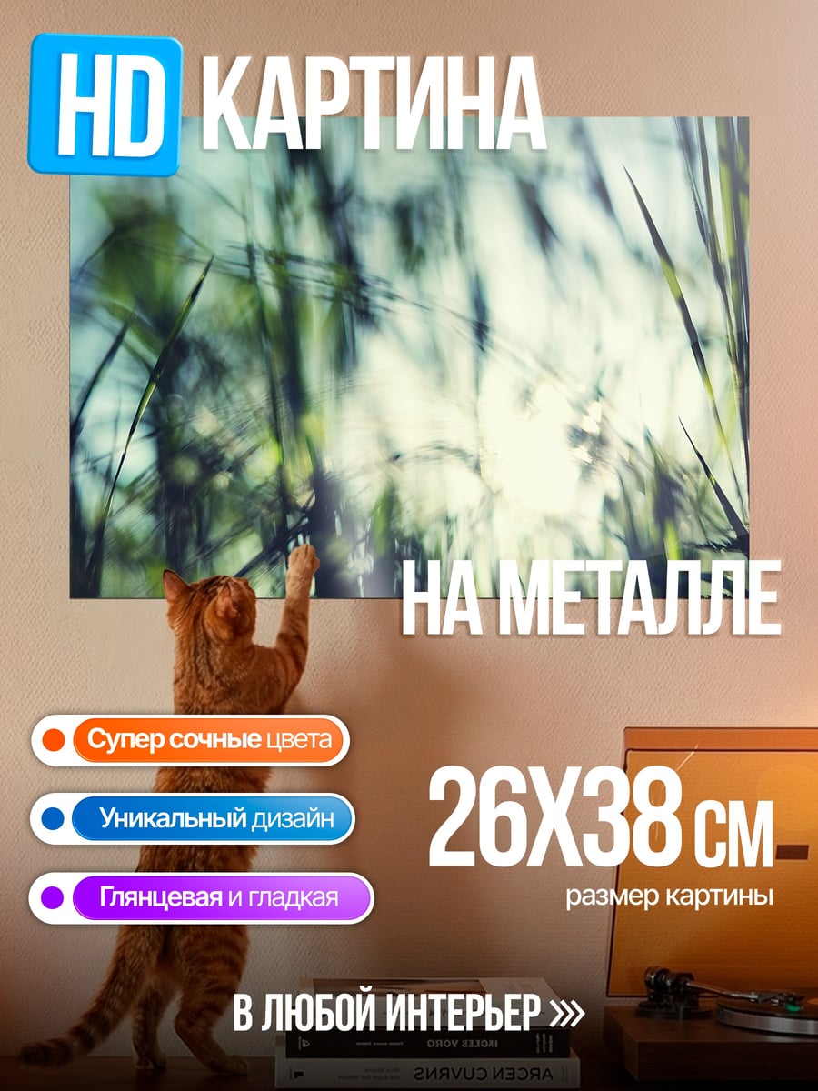 Картина на металле Размытая трава на солнце