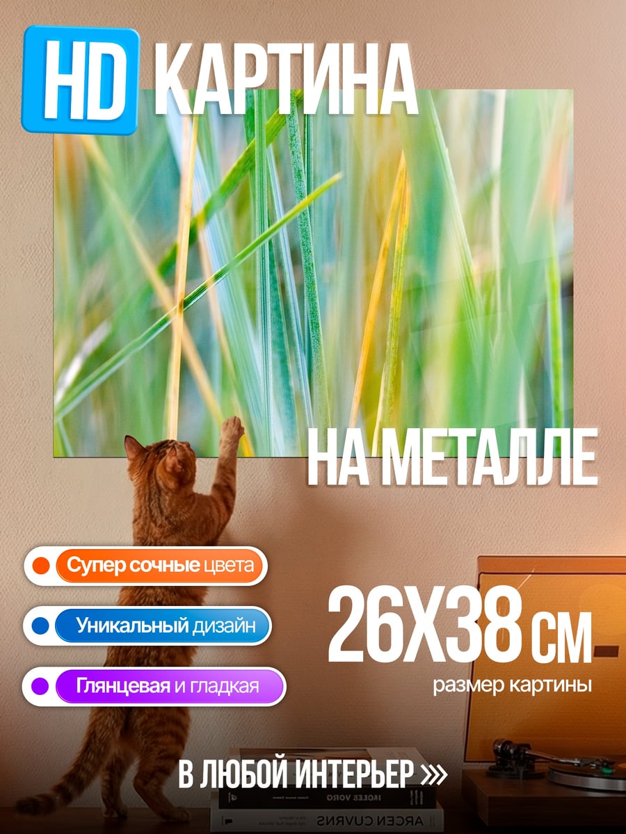 Картина на металле Зеленая трава крупным планом