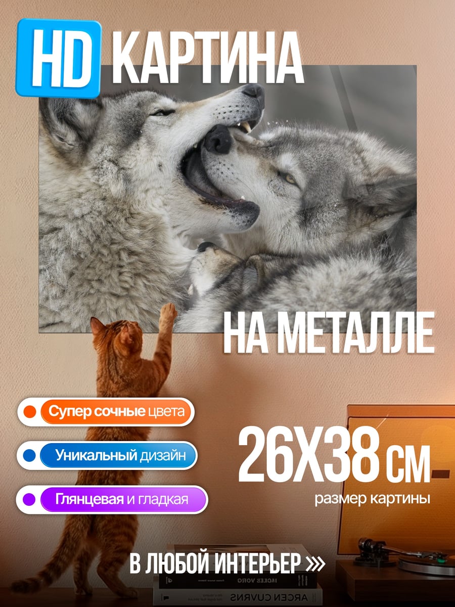 Картина на металле Два играющих волка