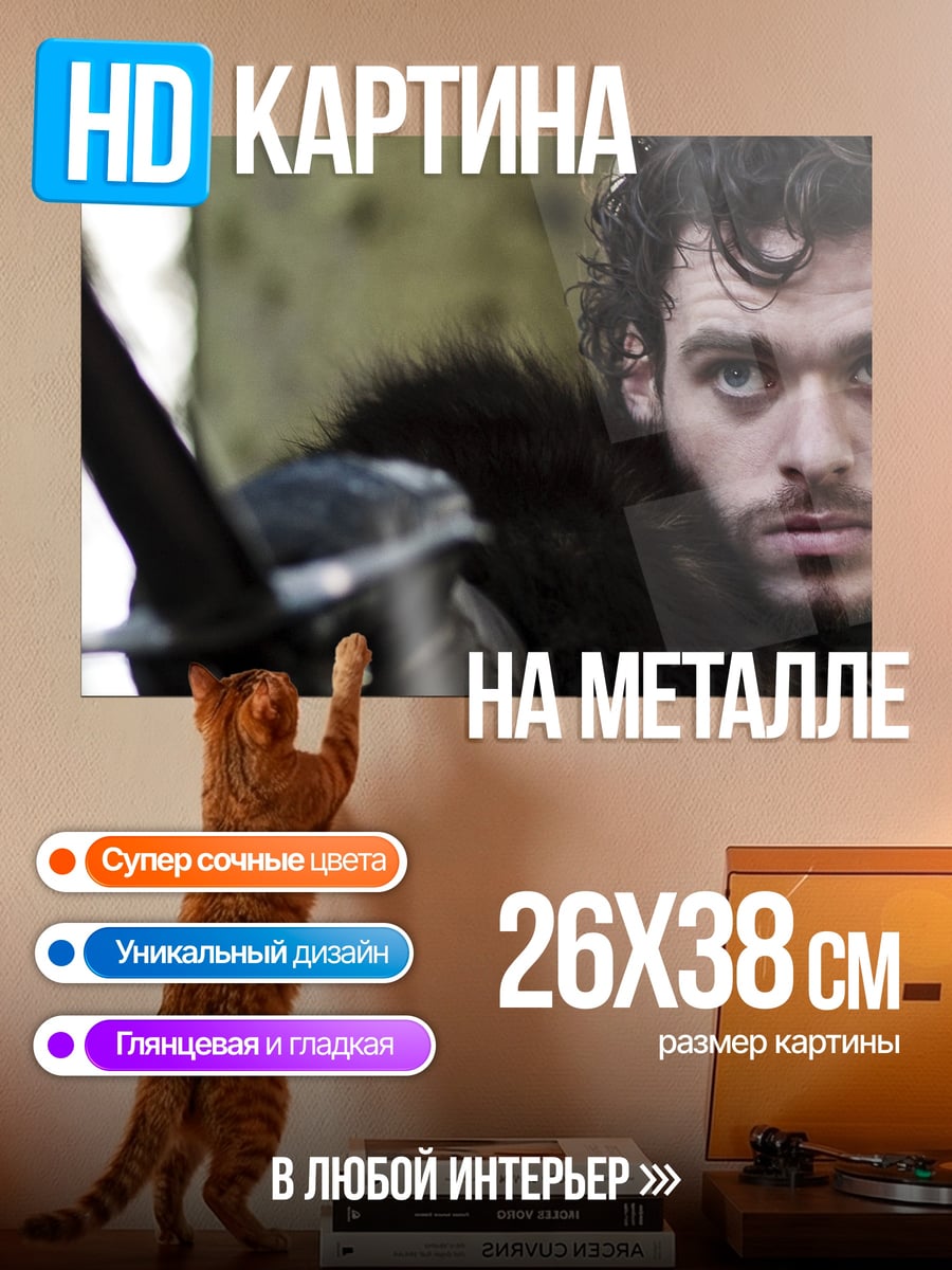 Картина на металле Робб Старк