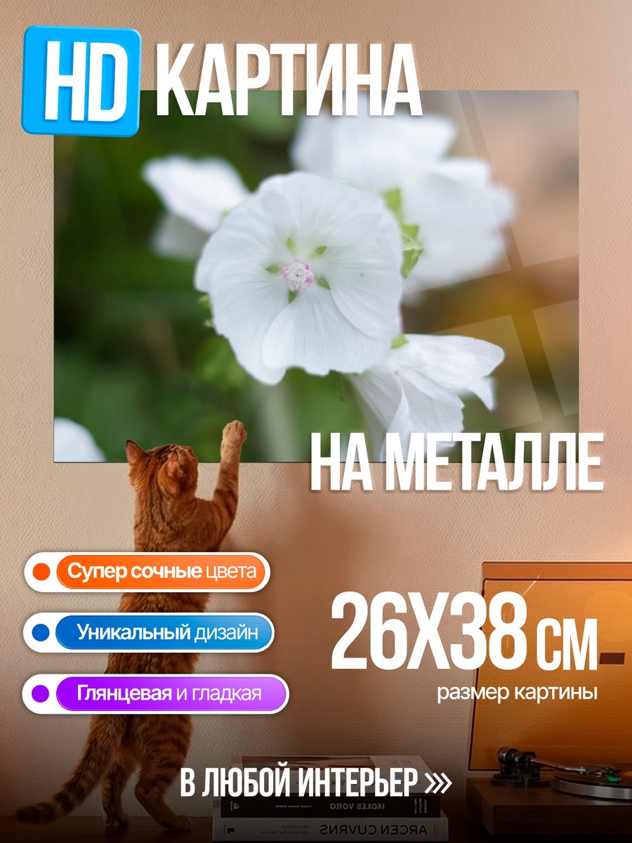 Картина на металле Белые цветы крупно