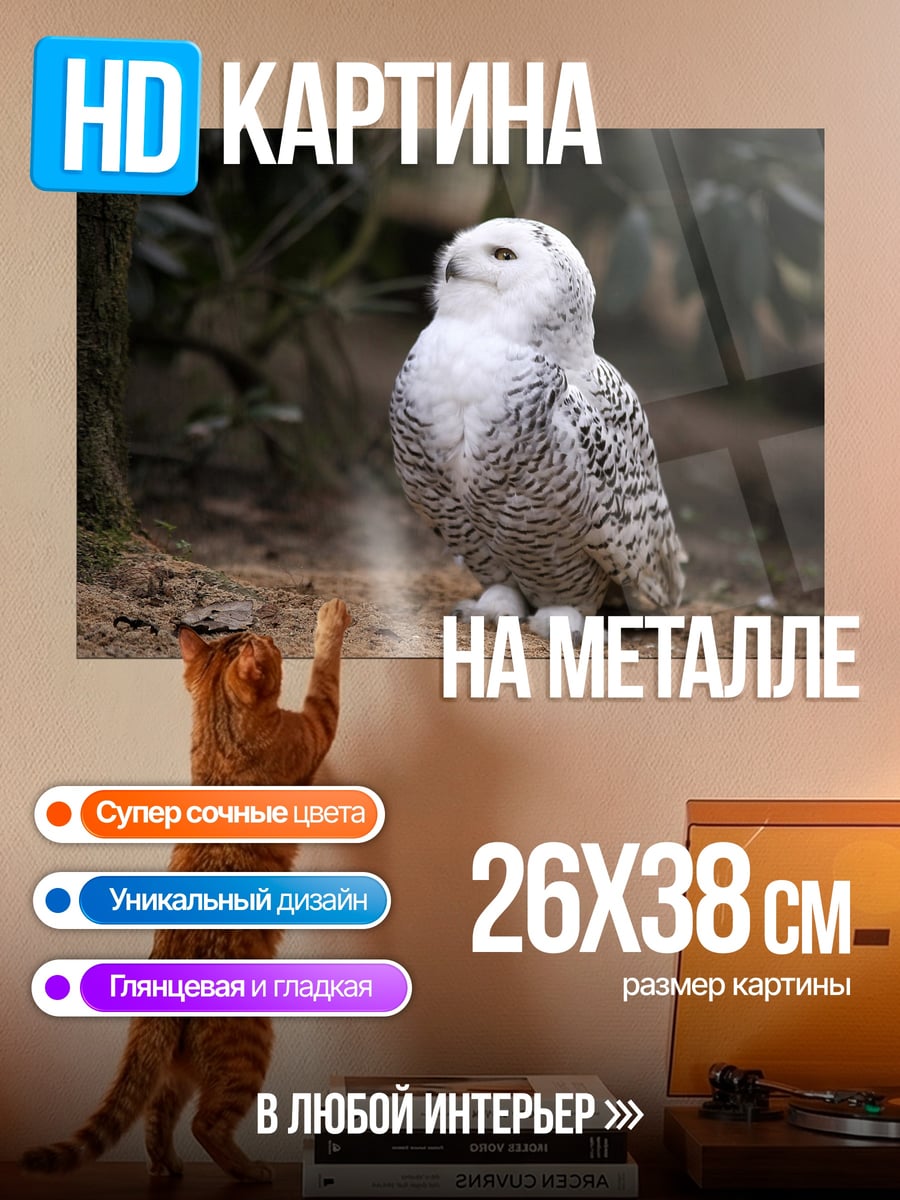 Картина на металле Белая полярная сова