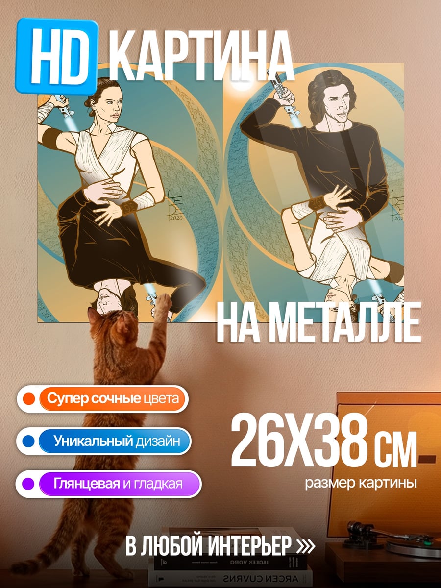 Картина на металле Рей и Кайло Рен