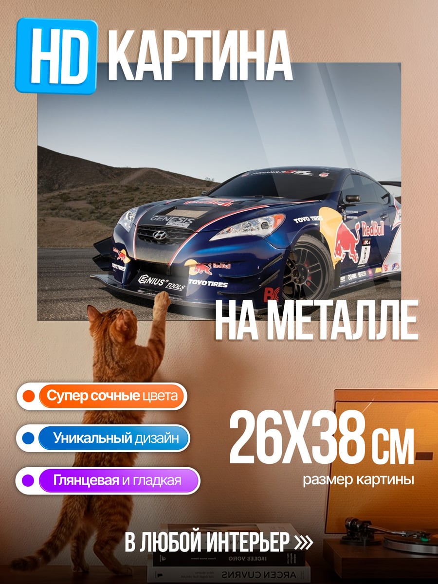 Картина на металле Гоночный автомобиль Red Bull