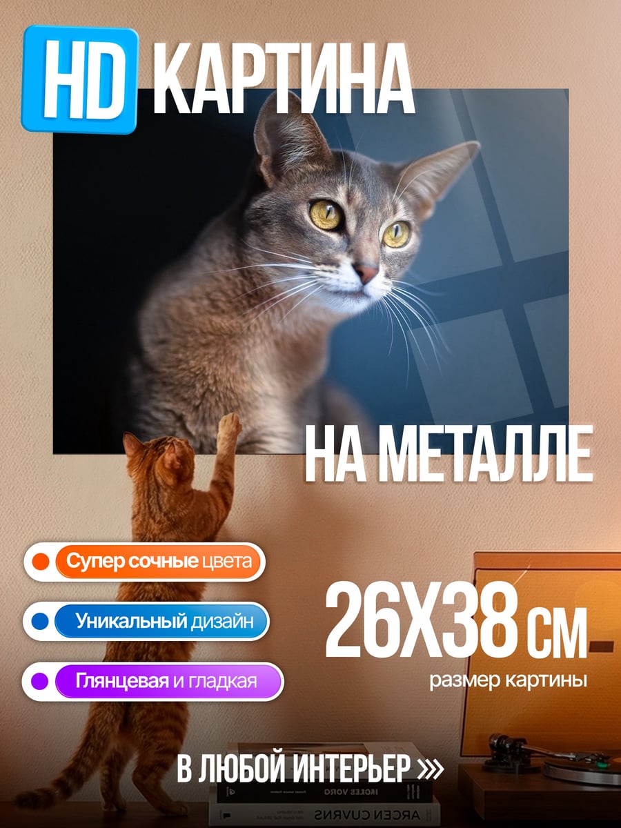 Картина на металле Абиссинский кот
