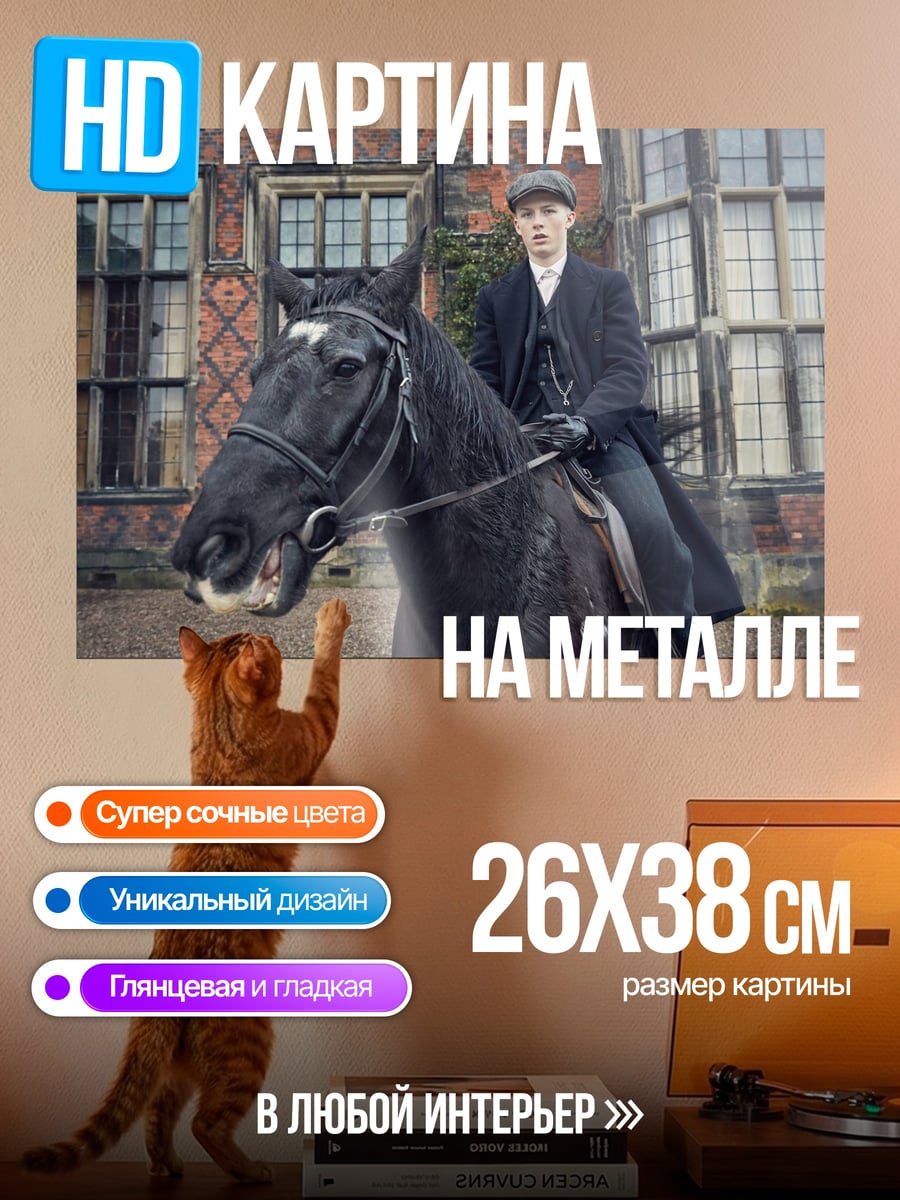 Картина на металле Всадник в кепке