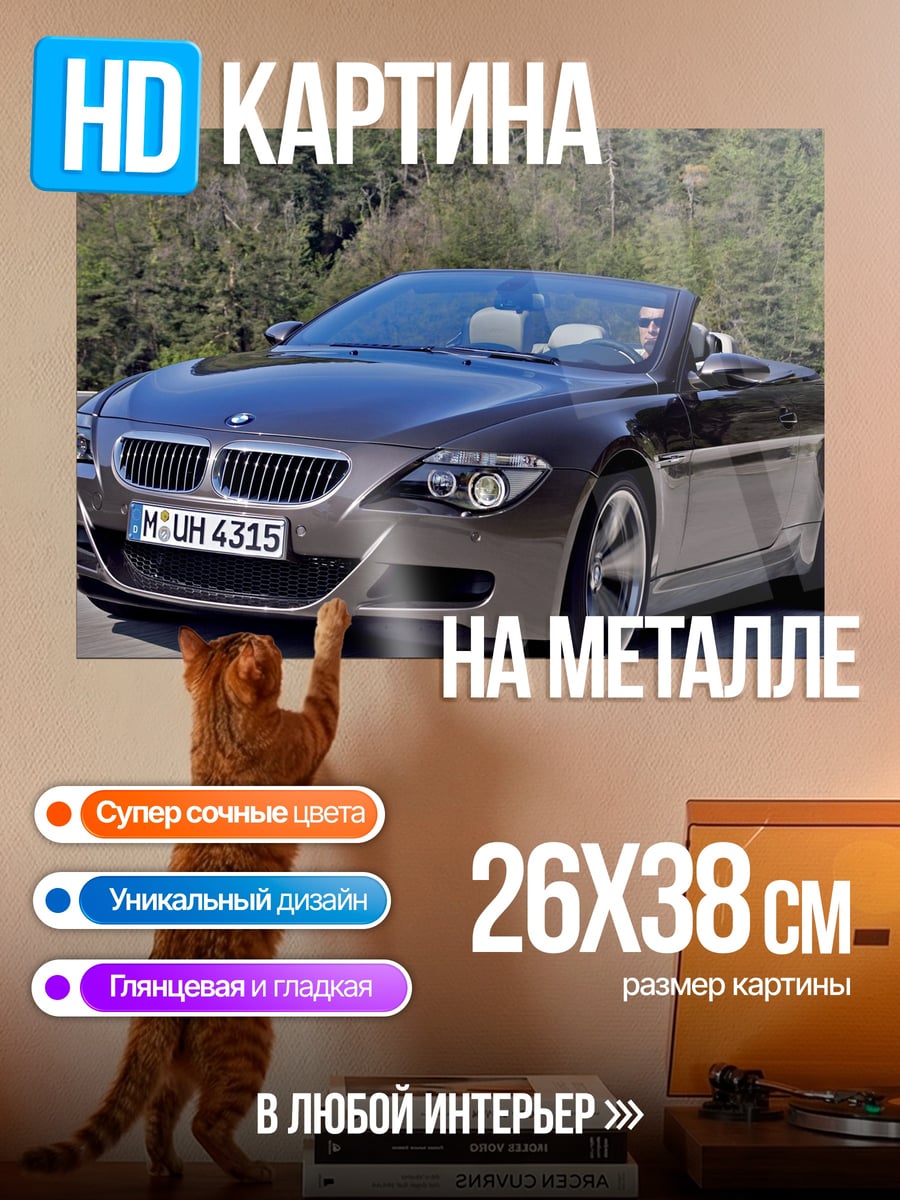 Картина на металле BMW M6 кабриолет