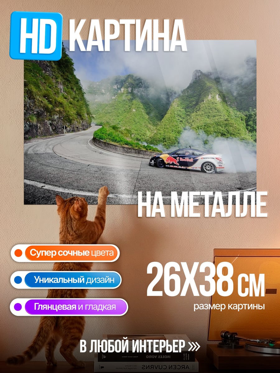 Картина на металле Дрифт на серпантине
