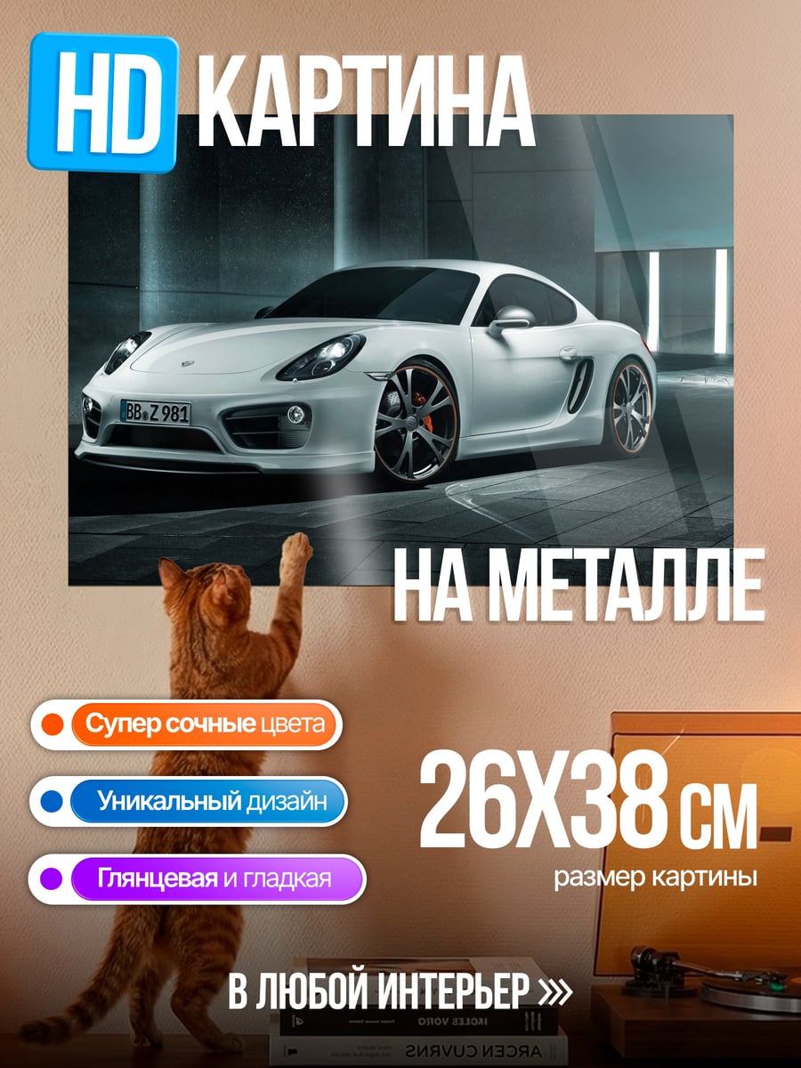 Картина на металле Белый Porsche