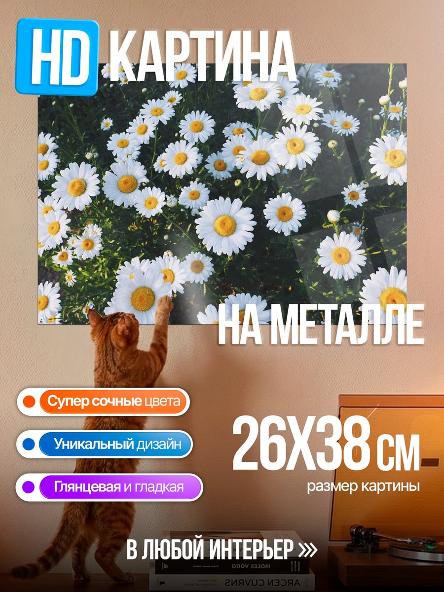Картина на металле Поле ромашек