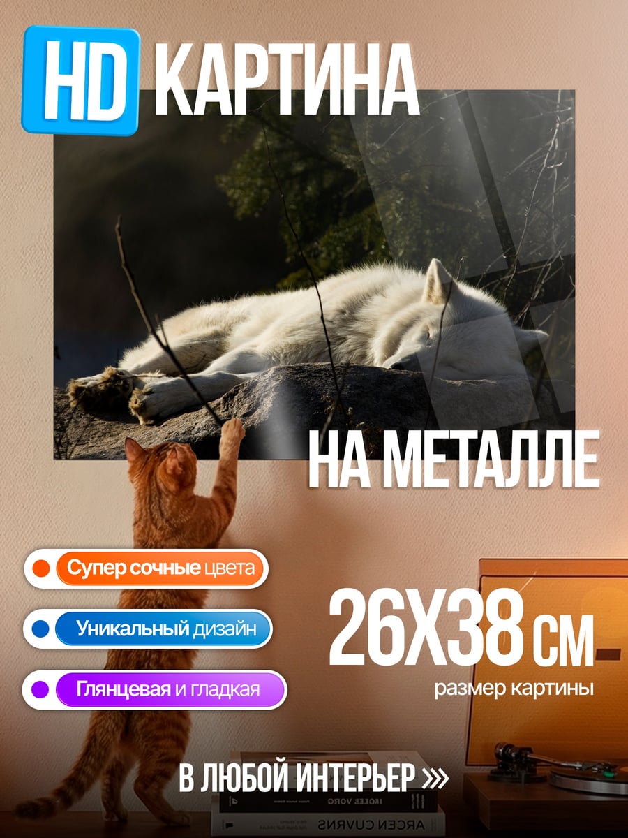 Картина на металле Спящий волк