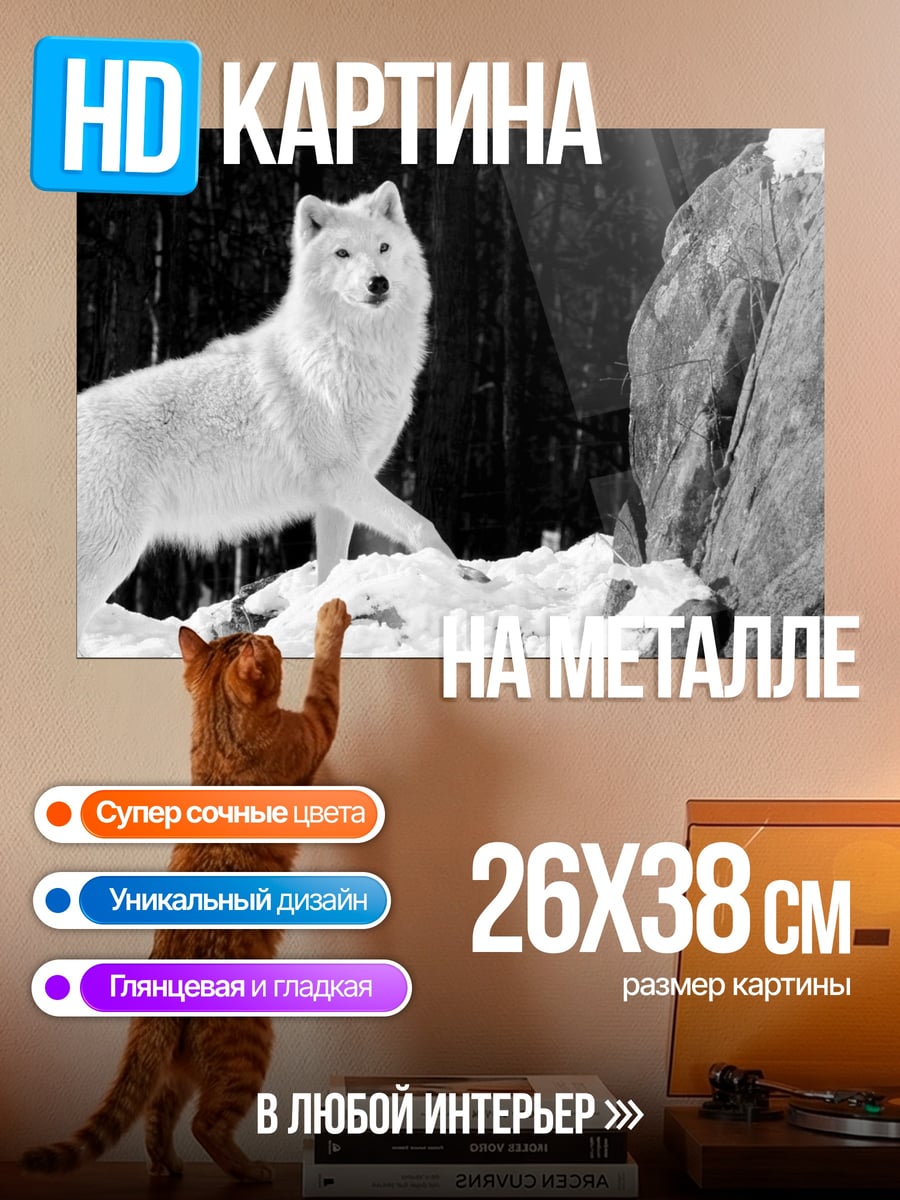 Картина на металле Белый волк в снегу