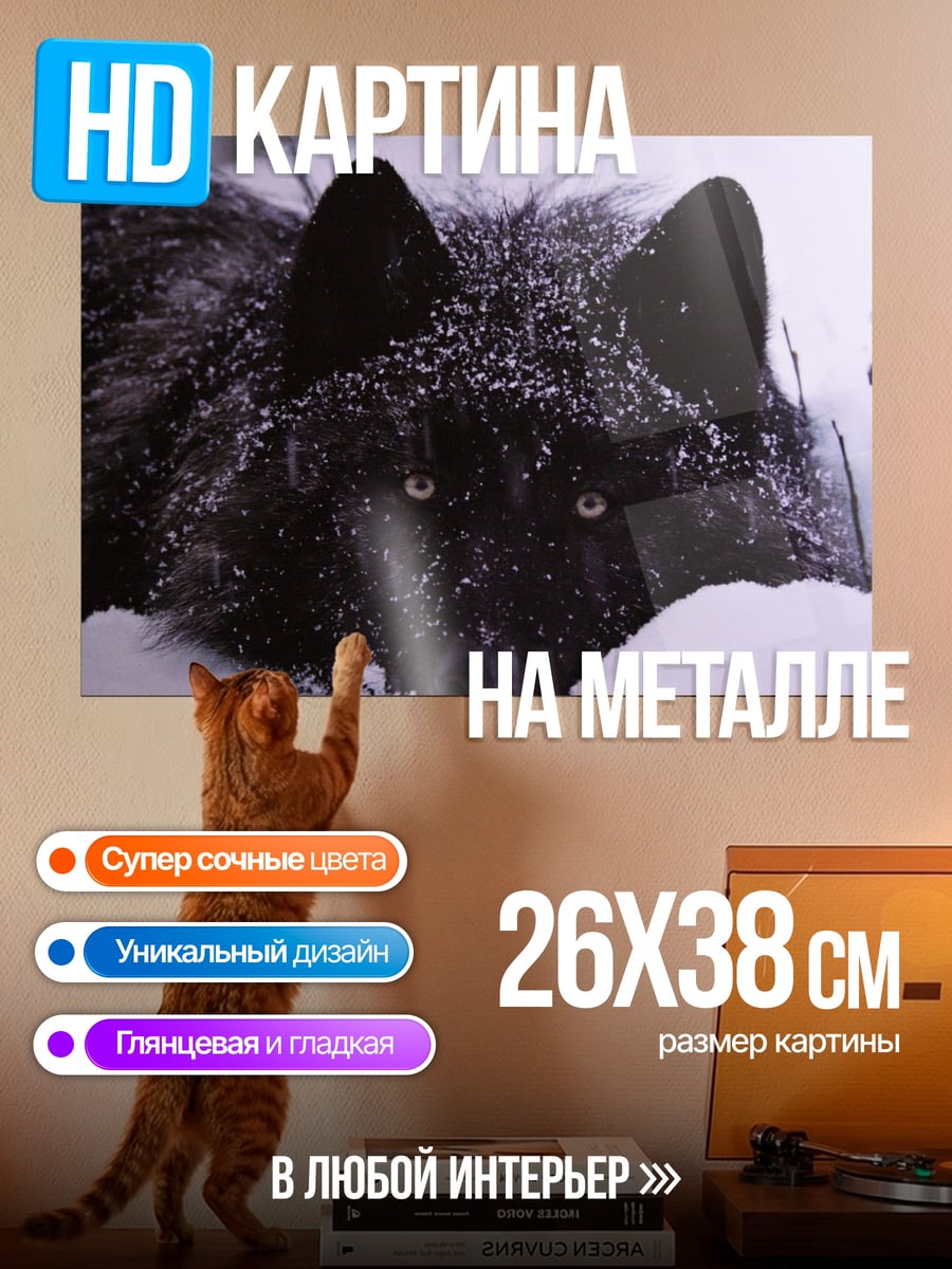 Картина на металле Черный волк в снегу