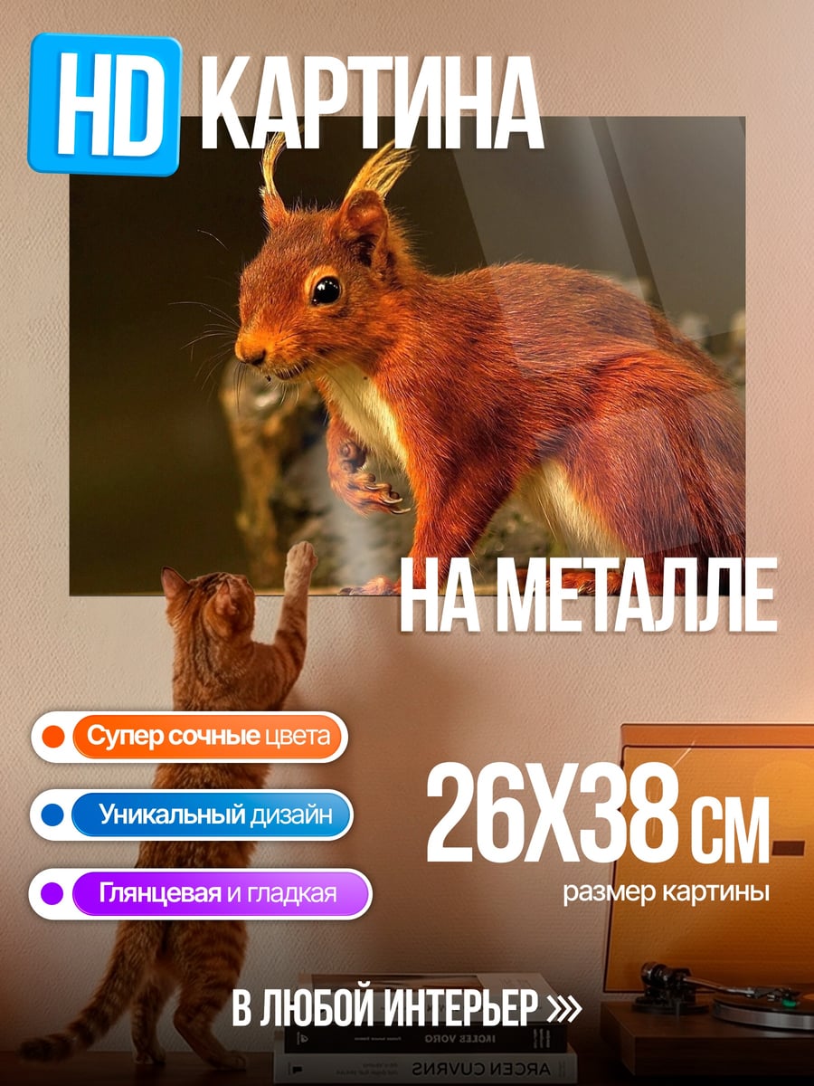 Картина на металле Рыжая белка