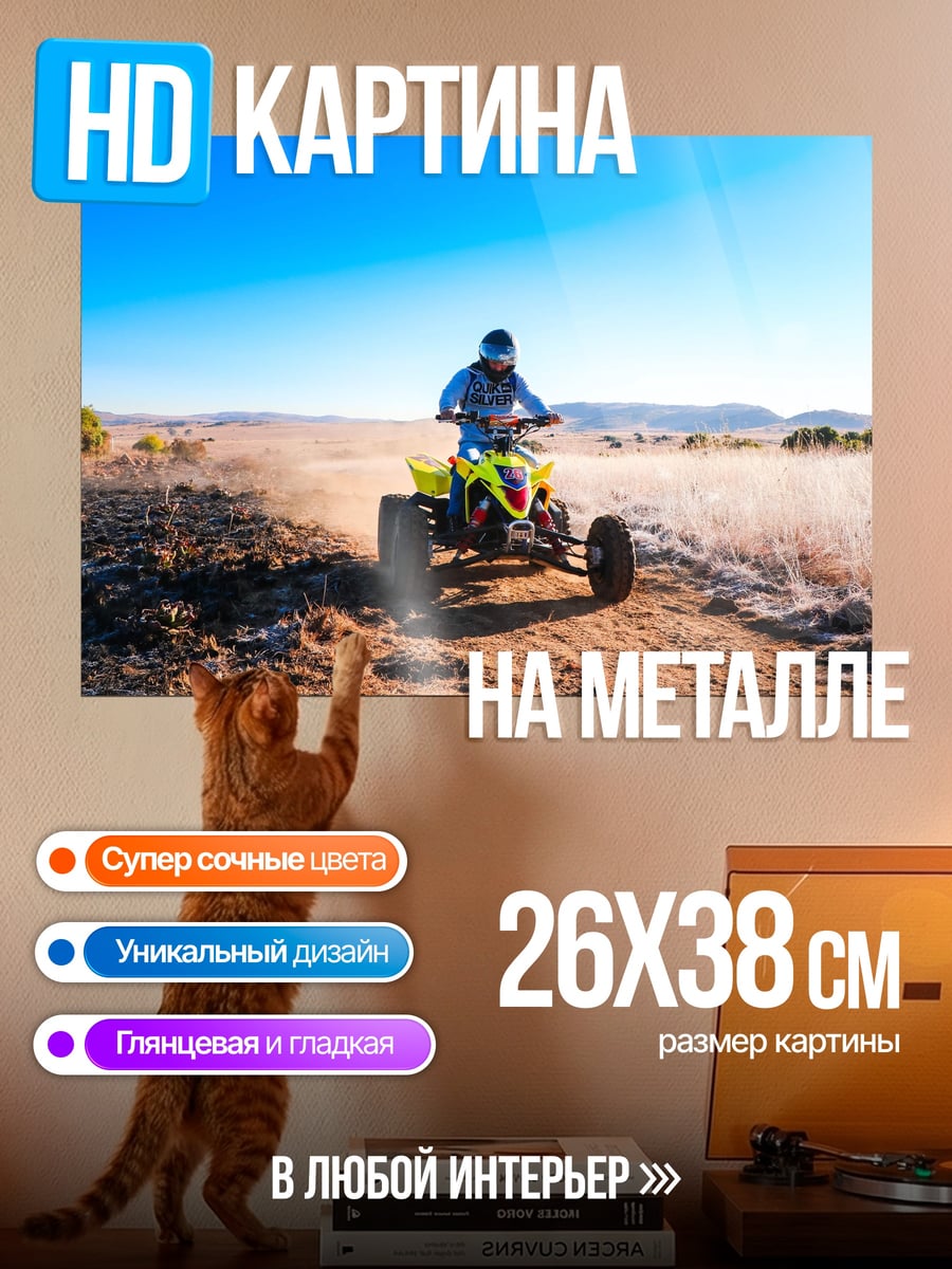 Картина на металле квадроцикл в пустыне