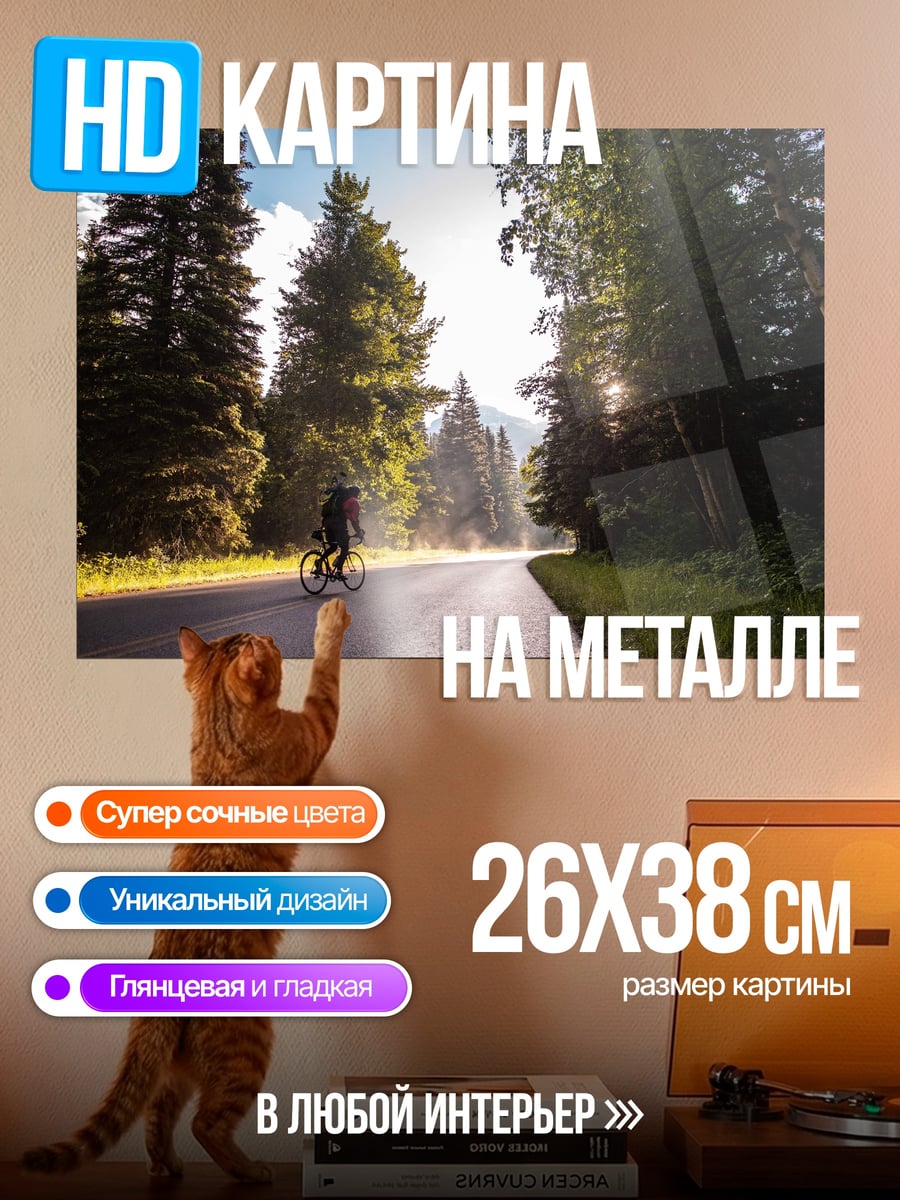 Картина на металле велосипедист в лесу