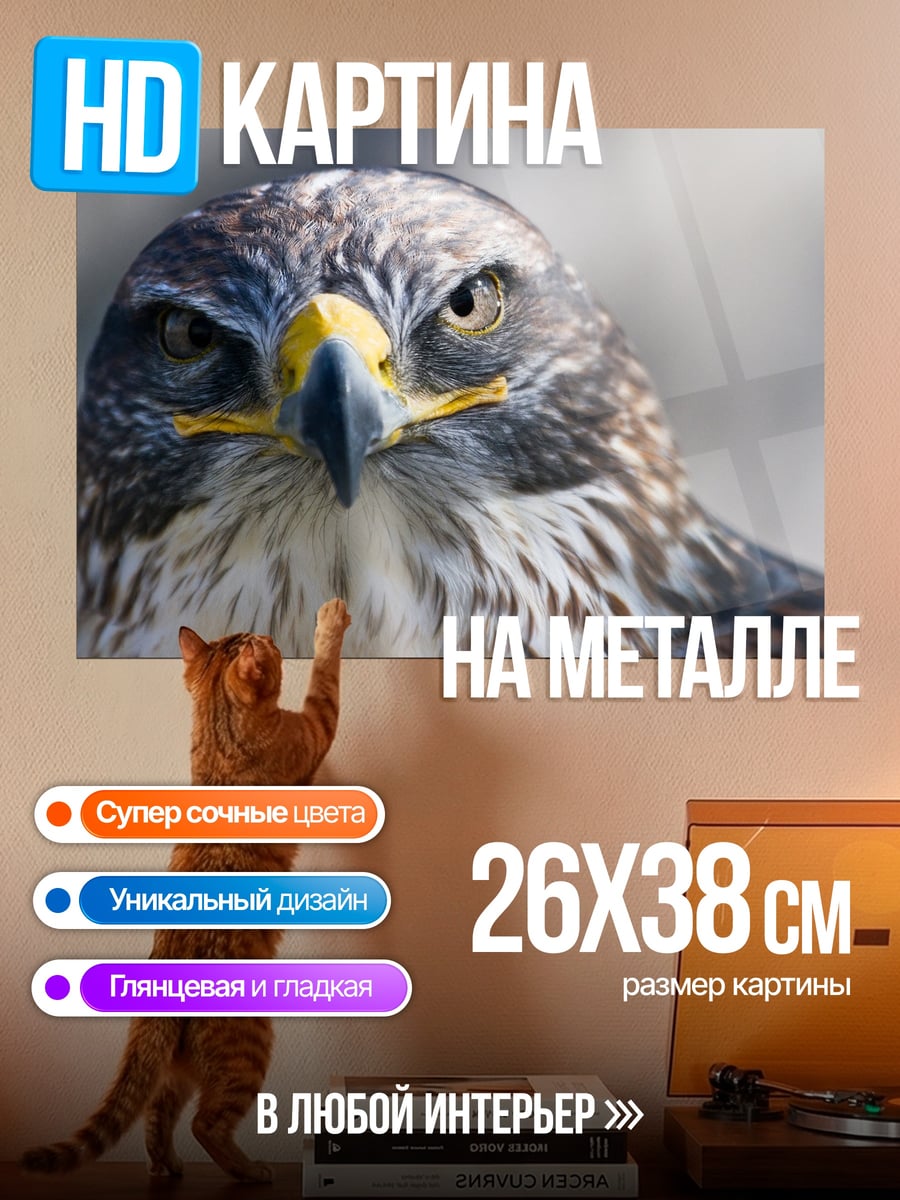 Картина на металле Хищная птица