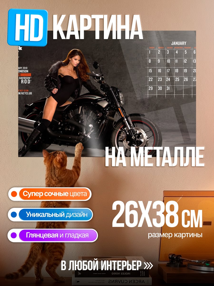 Картина на металле Девушка на мотоцикле