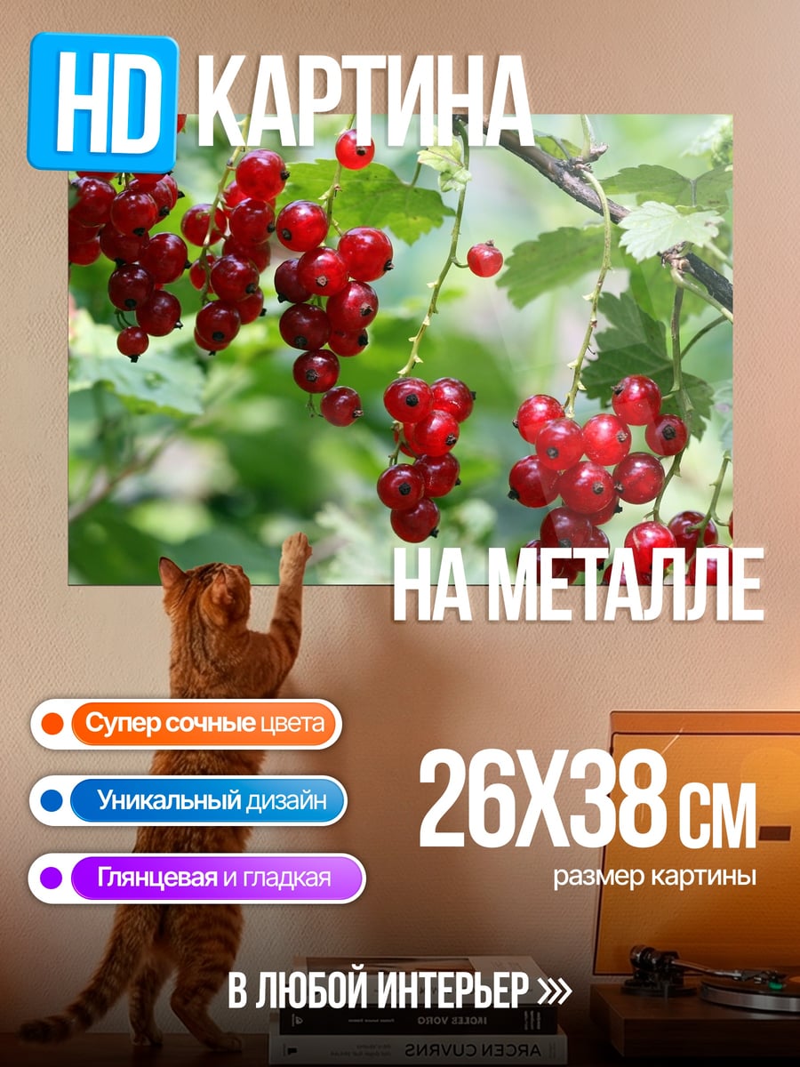 Картина на металле Красная смородина