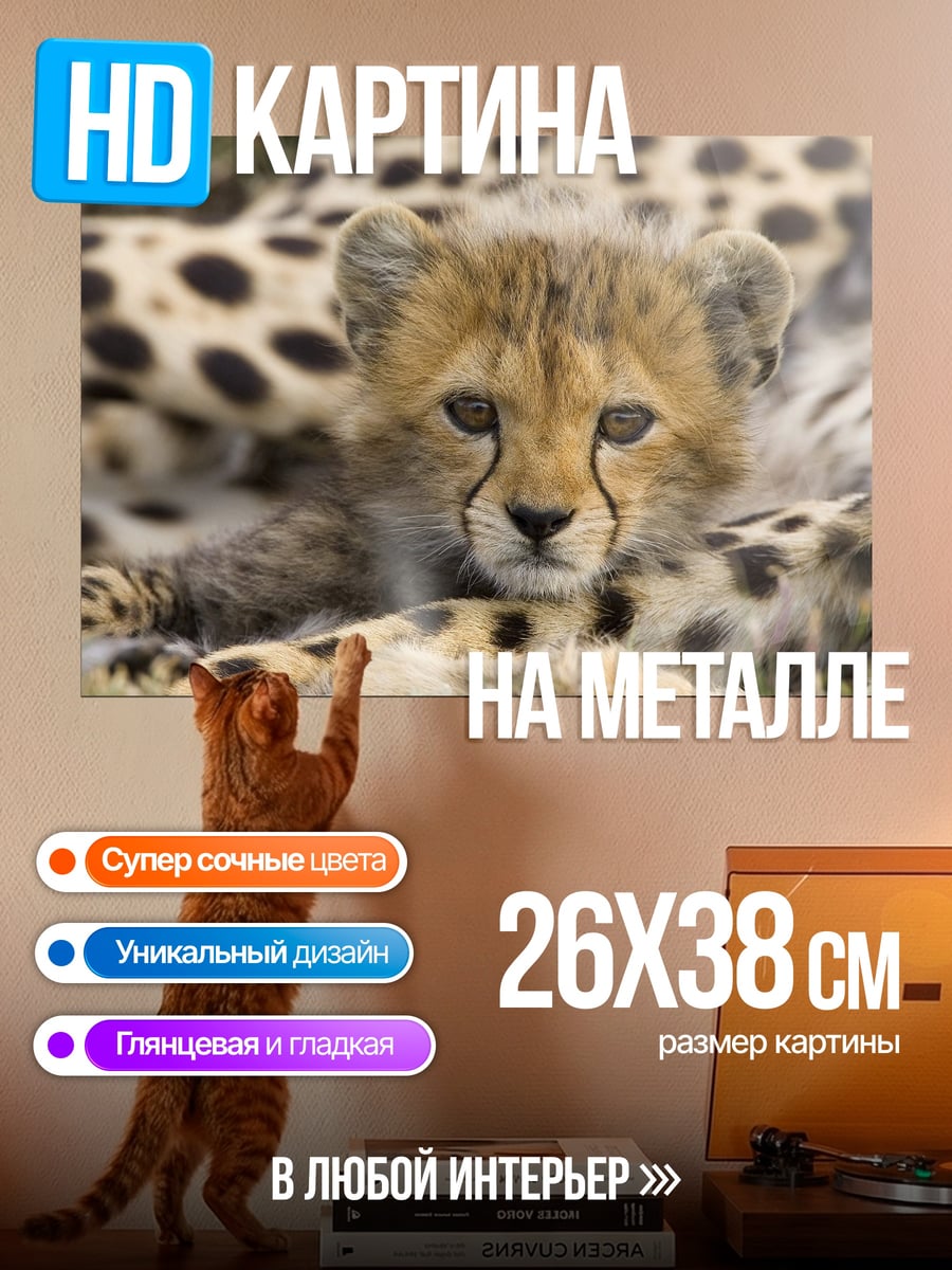 Картина на металле Детеныш гепарда