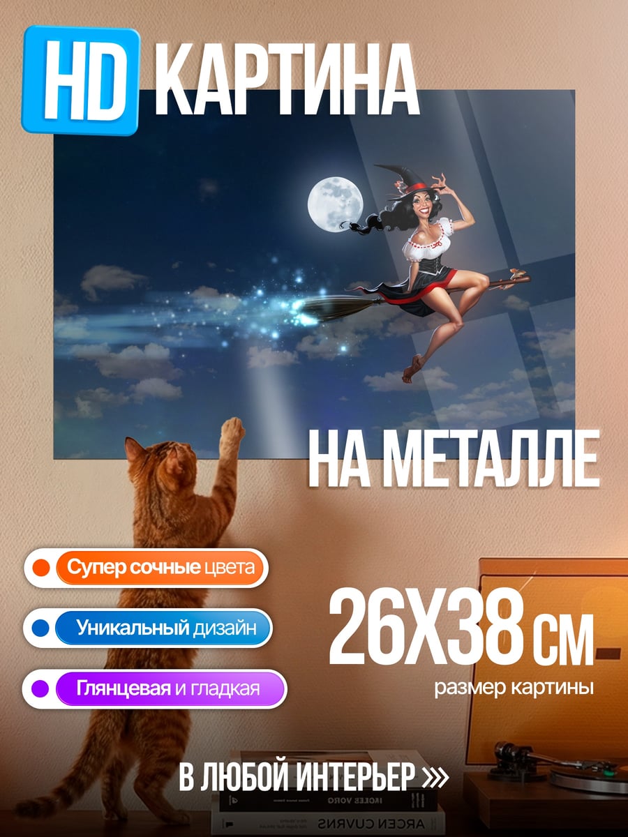 Картина на металле Ведьма на метле