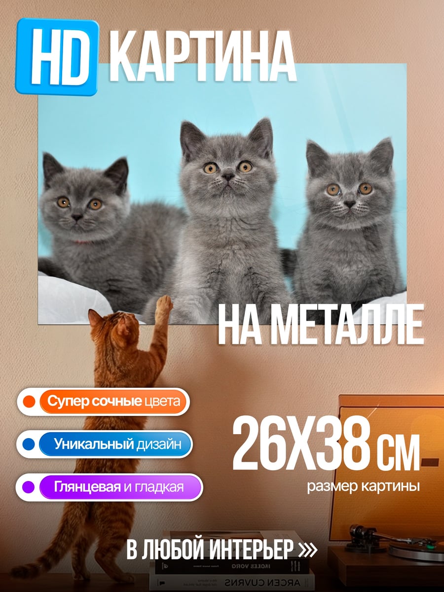 Картина на металле Три котенка