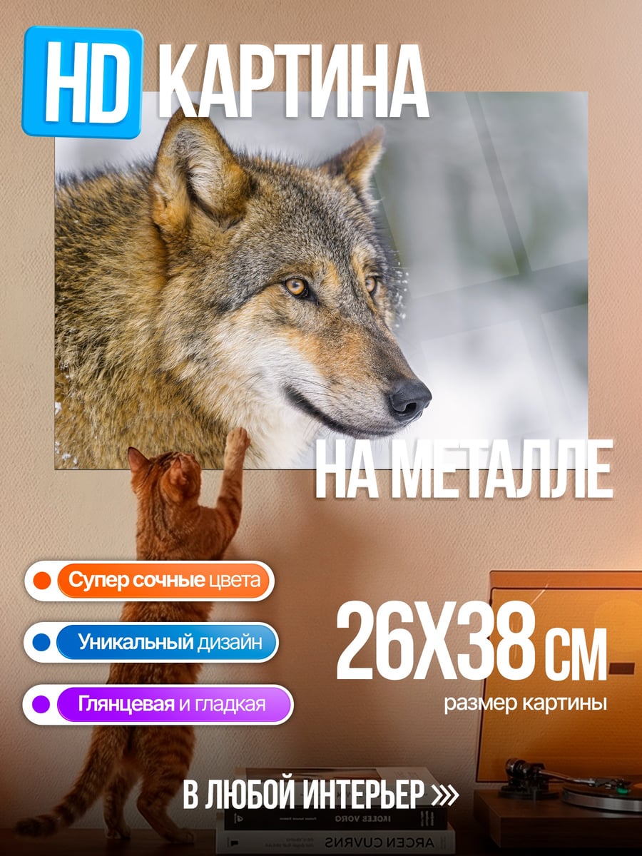 Картина на металле серый волк