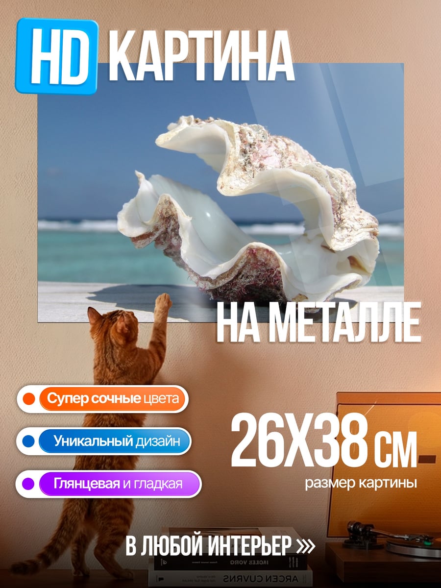 Картина на металле морская раковина