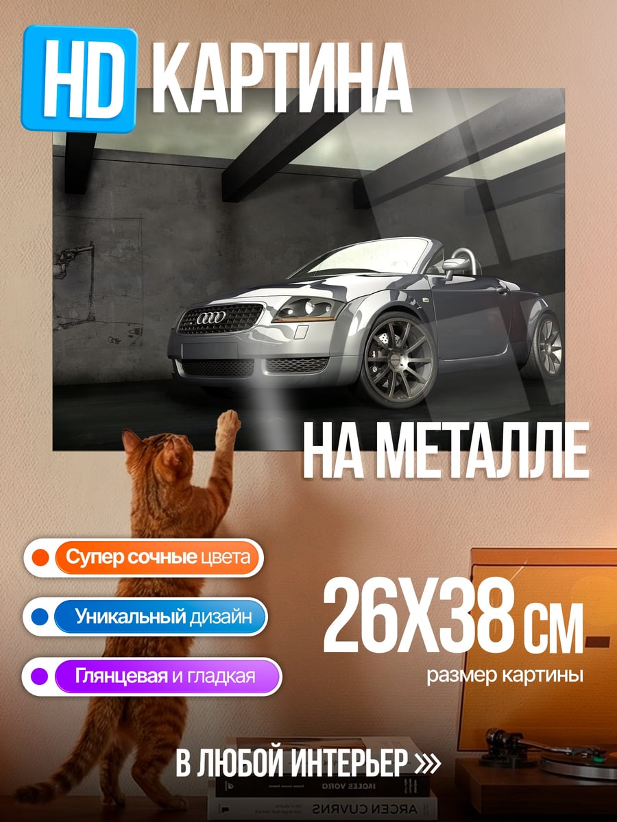 Картина на металле Audi TT Roadster