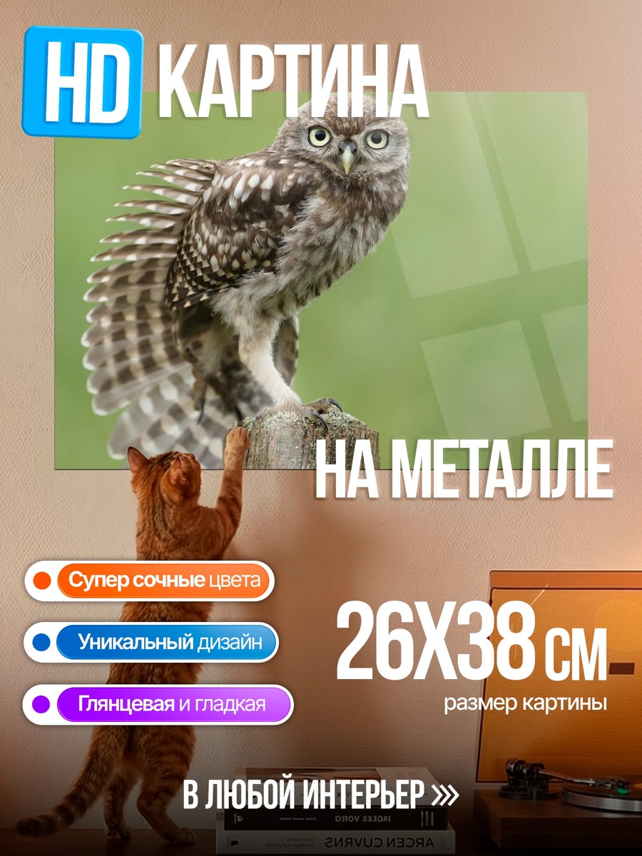 Картина на металле Маленькая сова
