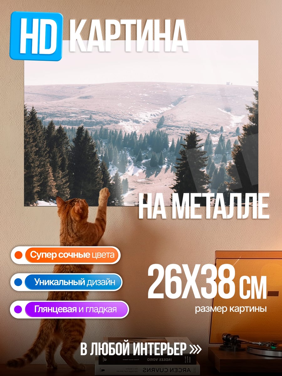 Картина на металле Одинокий путник